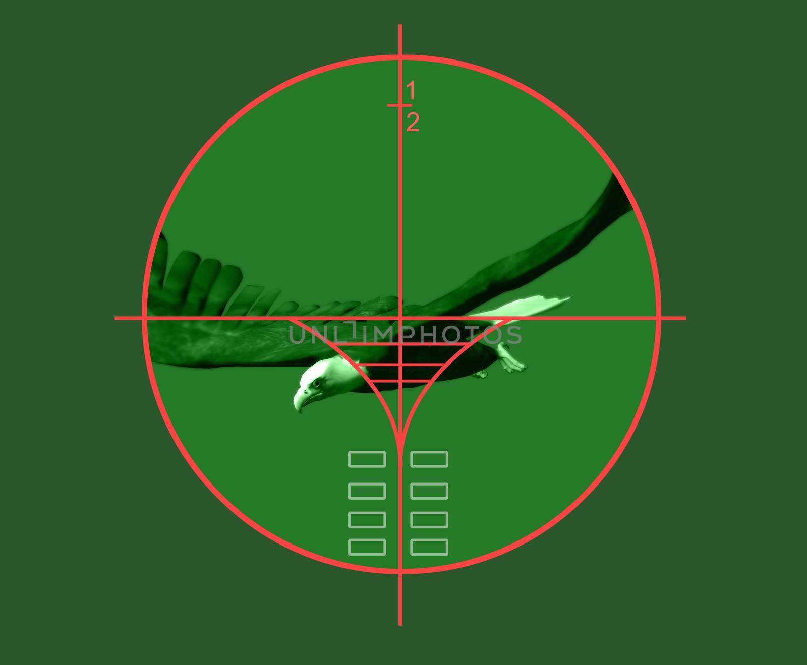 target by vitanovski