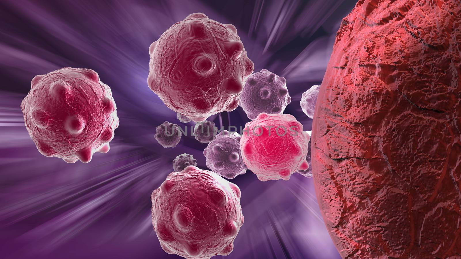 cancer cell by vitanovski