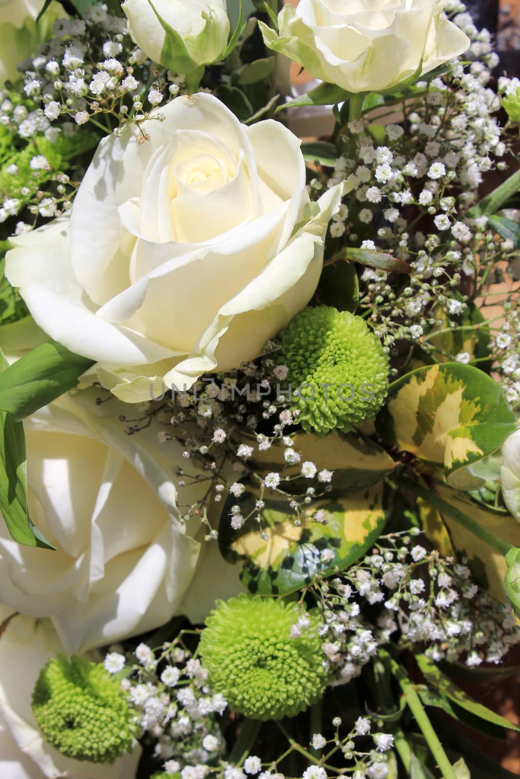 Closeup of beautiful flower bouquet background.