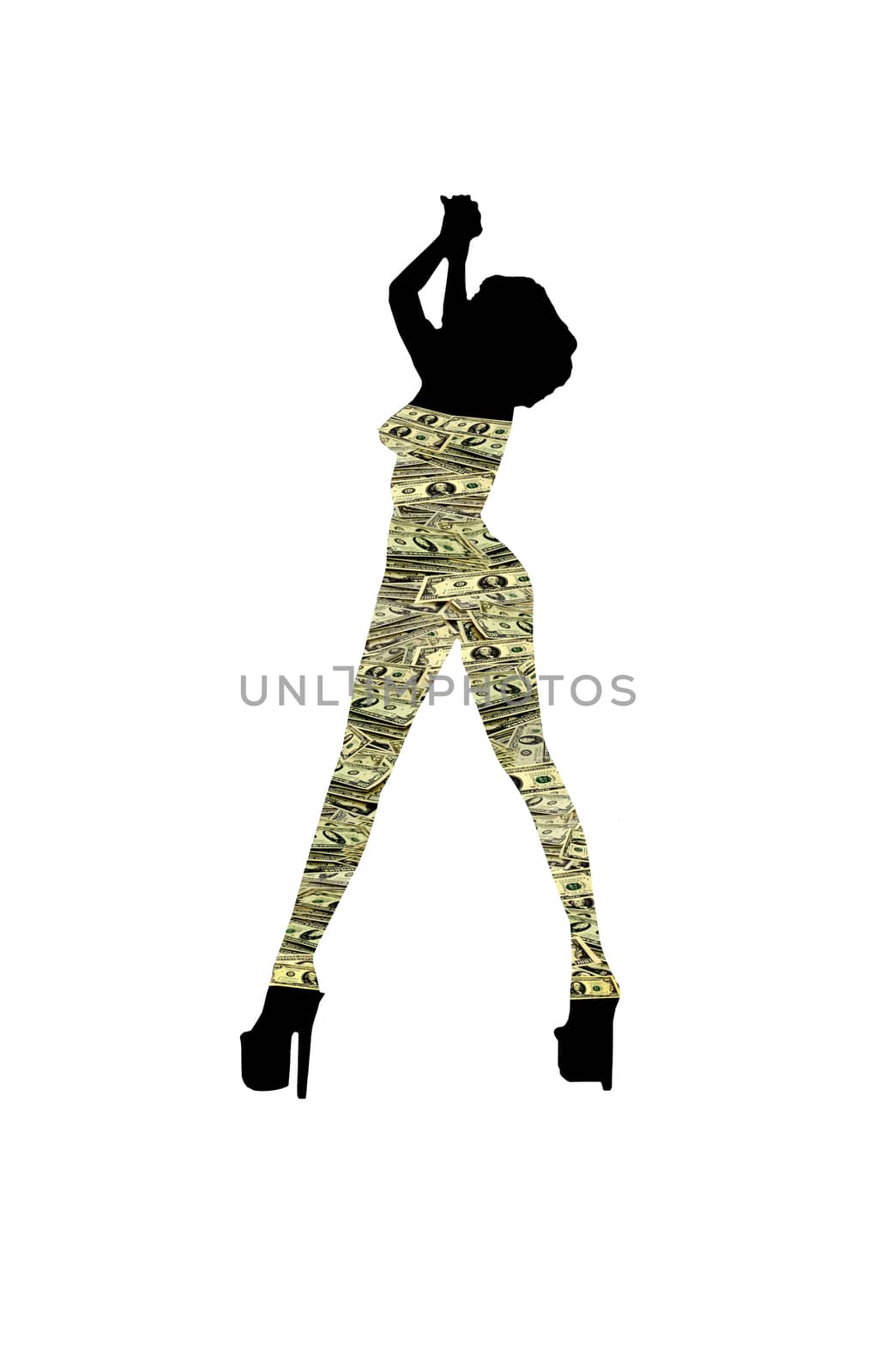 silhouette of the women in dollars on the white background