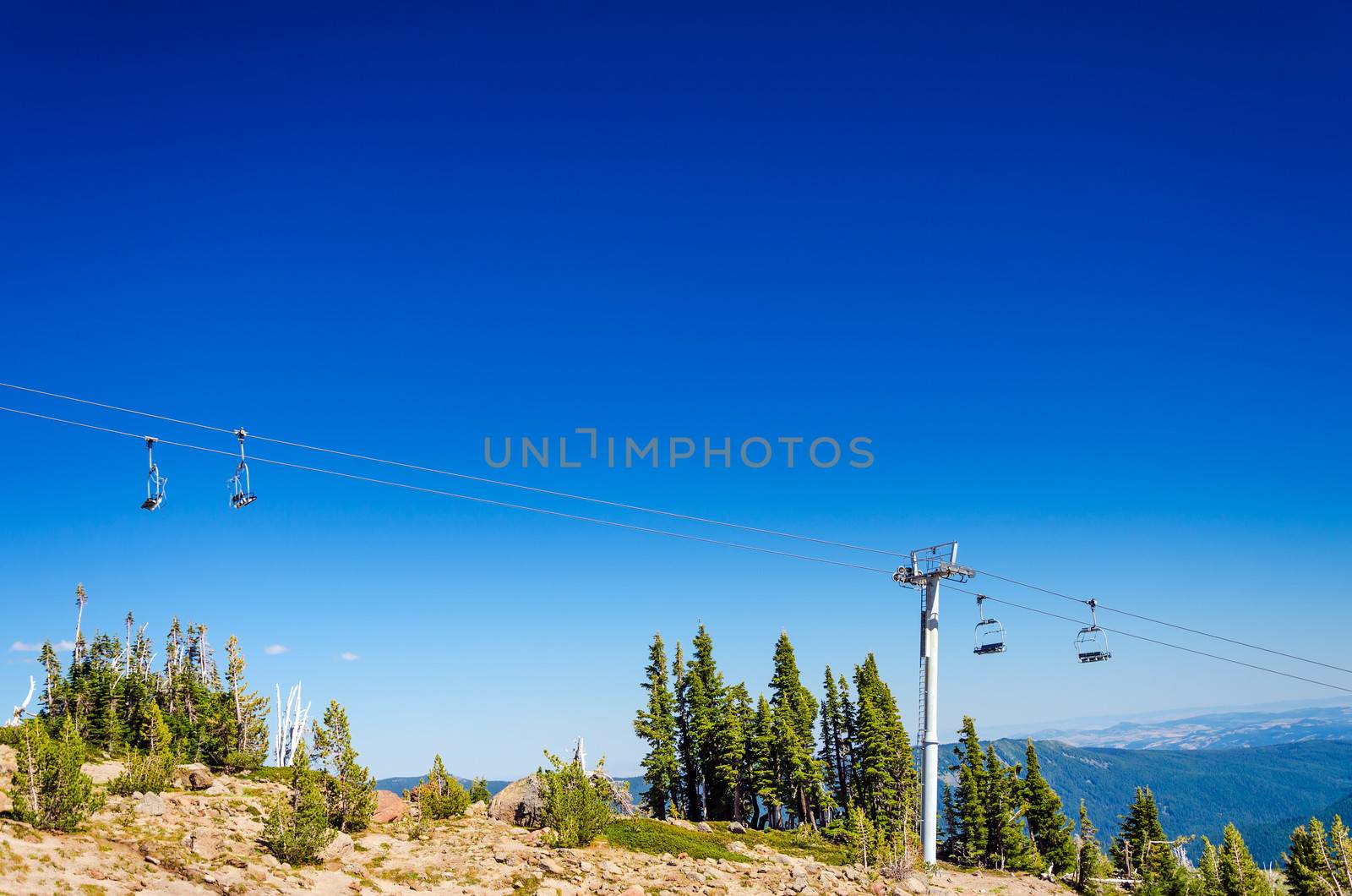 Chairlift going over trees in the summer on Mount Hood