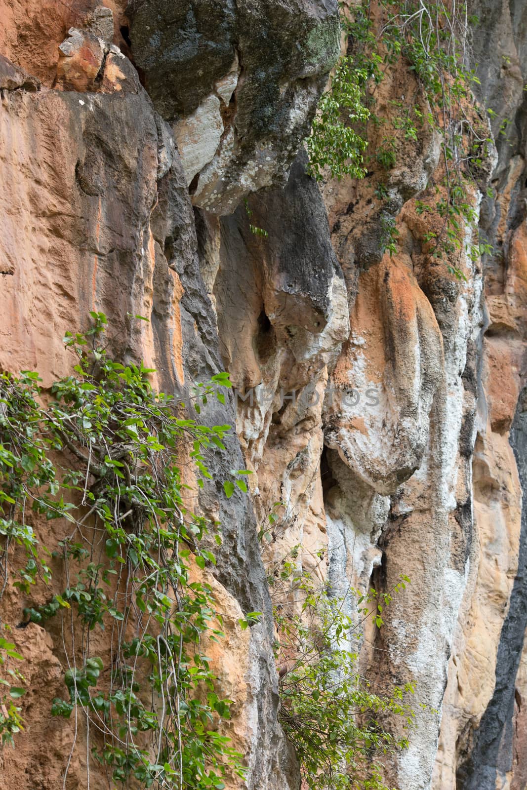 stone surface texture on mountain in nature