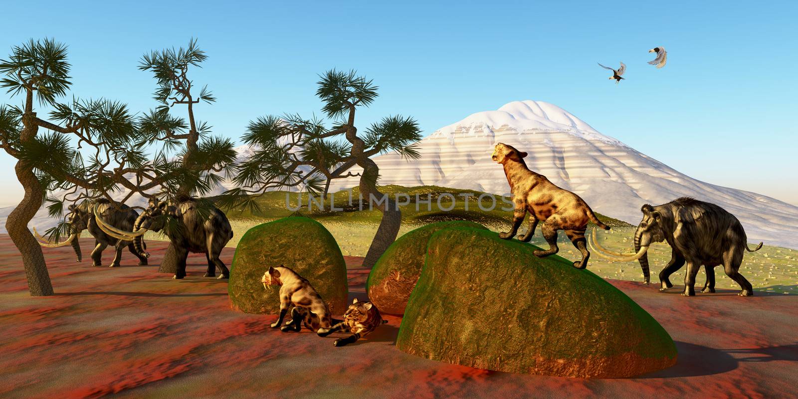 A family of Saber Toothed Tigers watch as a herd of Woolly Mammoths pass by their den.