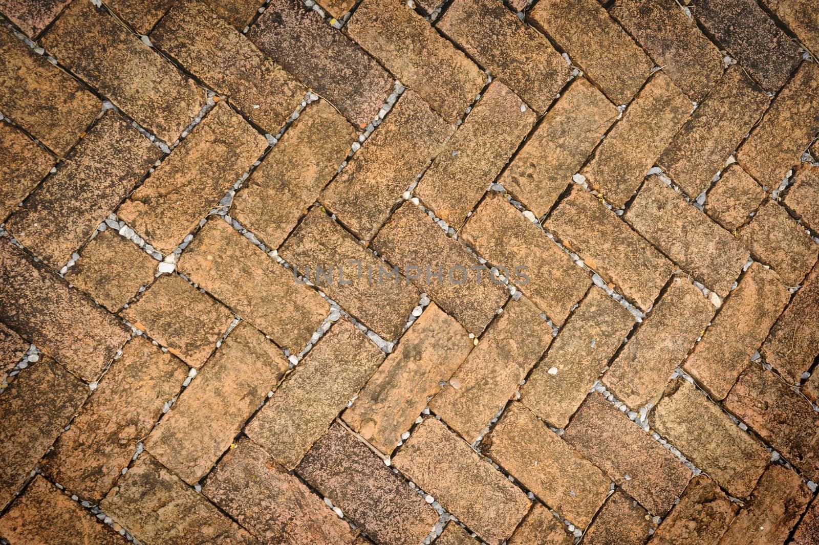Old dirty brick stone floor texture in garden.