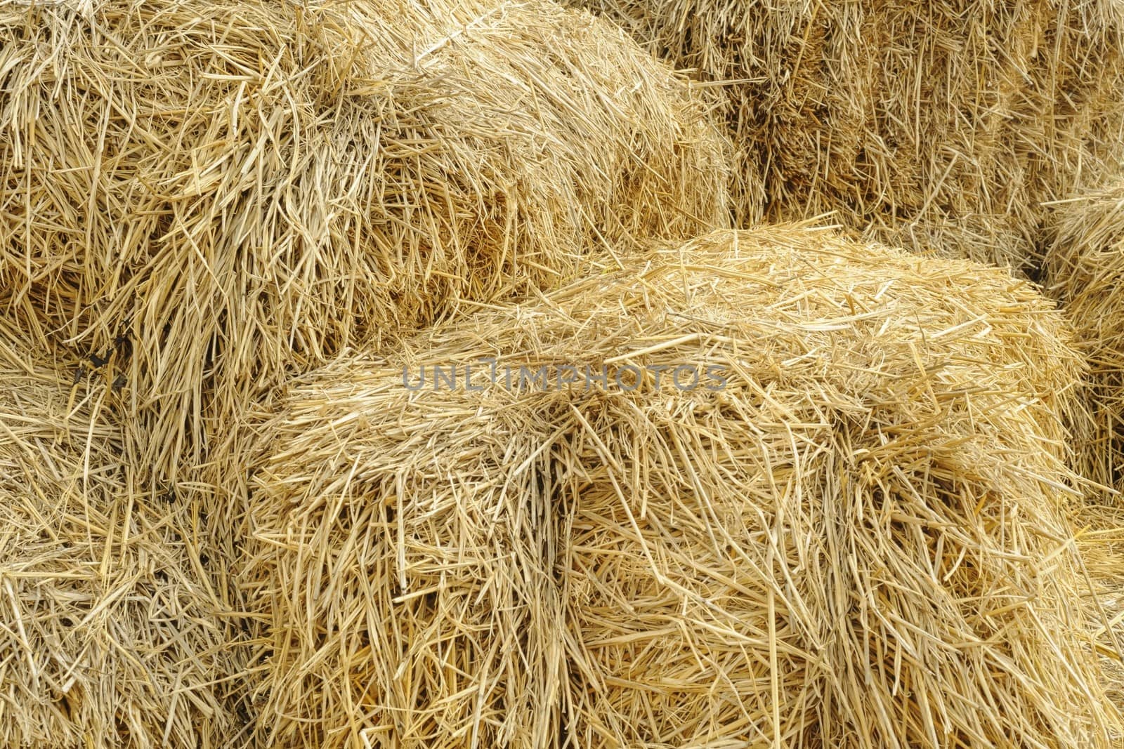 Hay bale background texture in farmland.