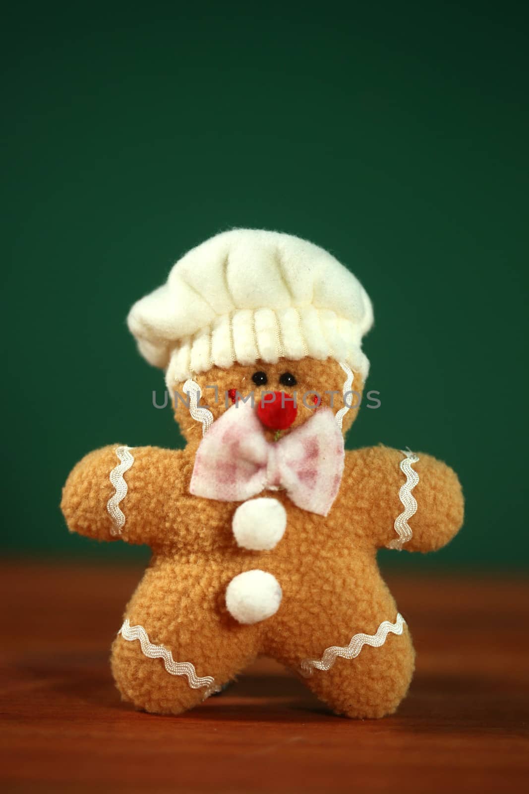 Stuffed Homemade Gingerbread Christmas Man by tobkatrina