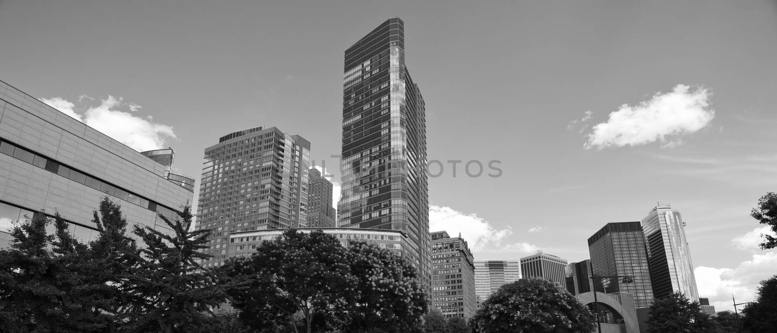 Panoramic View of New York City Buildings, U.S.A.