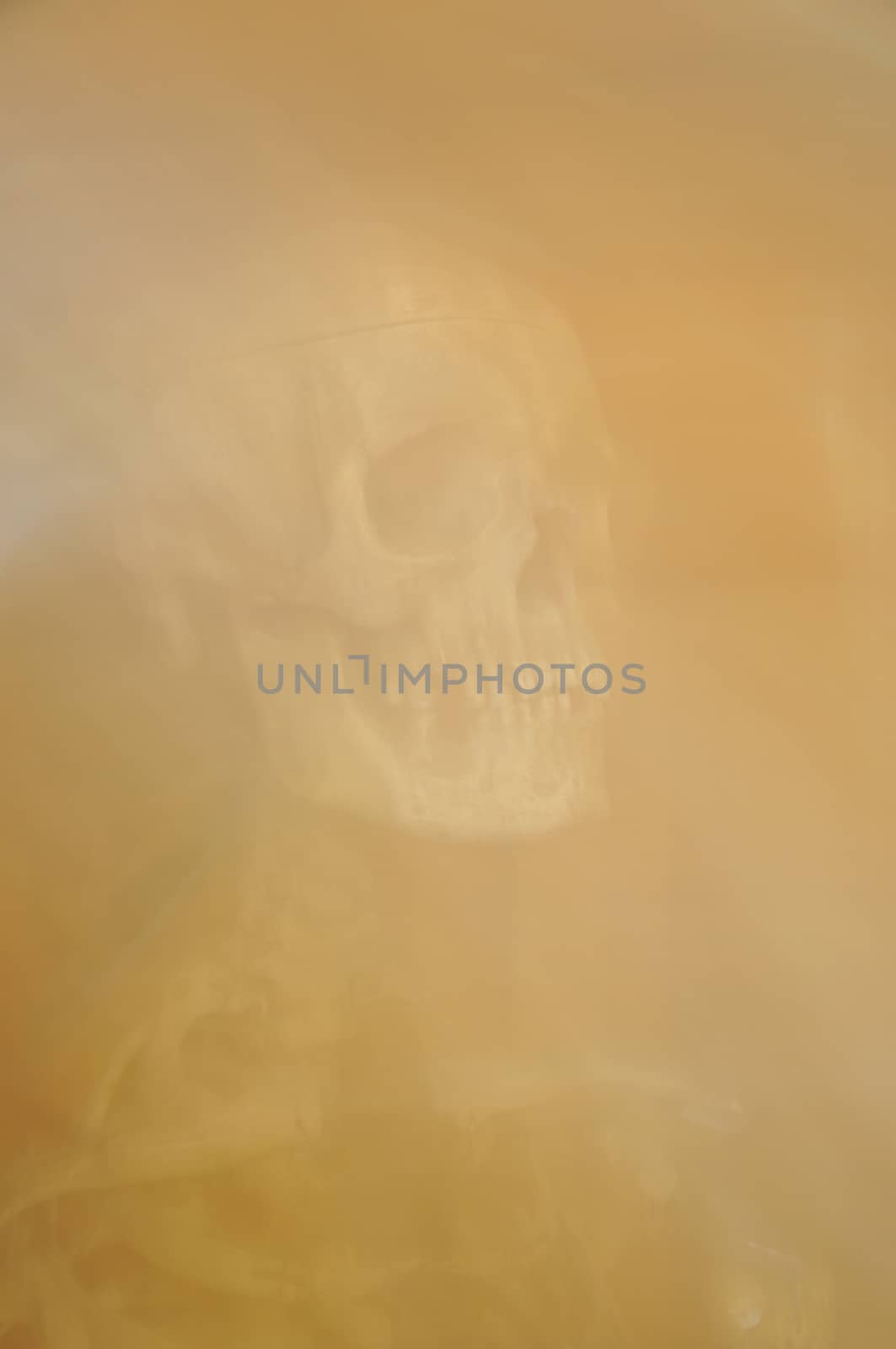 Vintage background texture with soft pattern of human skull.