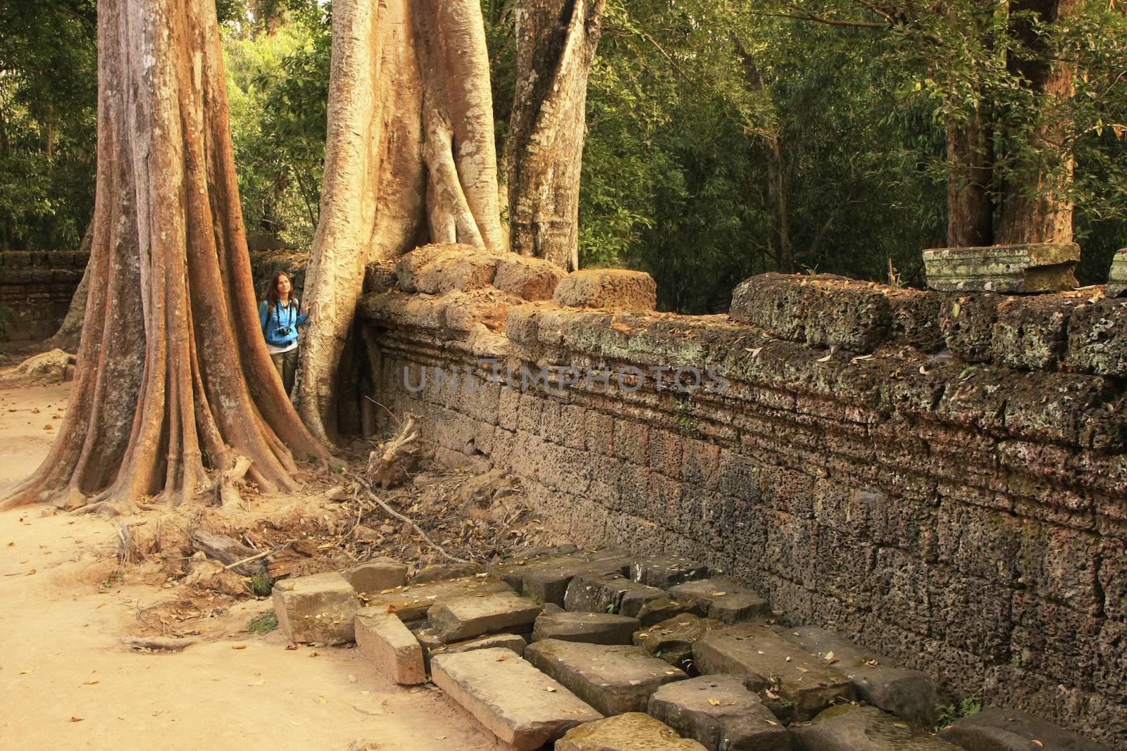 Ta Promh temple, Angkor area, Siem Reap, Cambodia