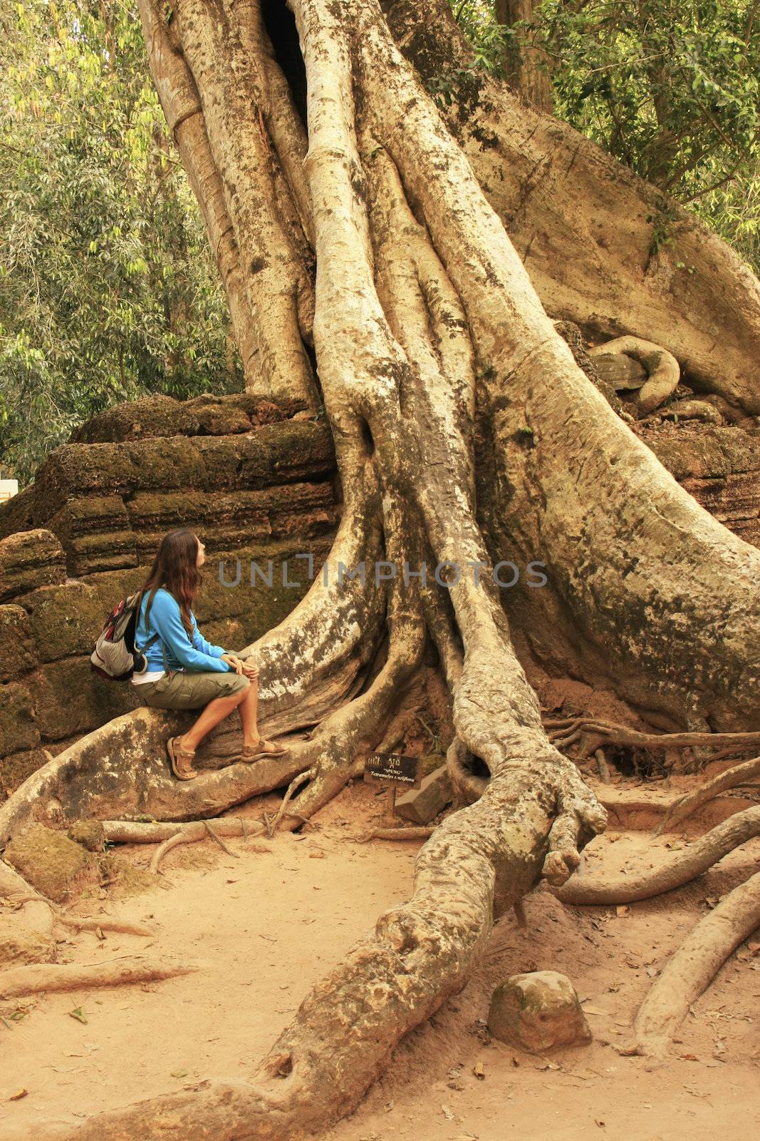 Ta Promh temple, Angkor area, Siem Reap, Cambodia