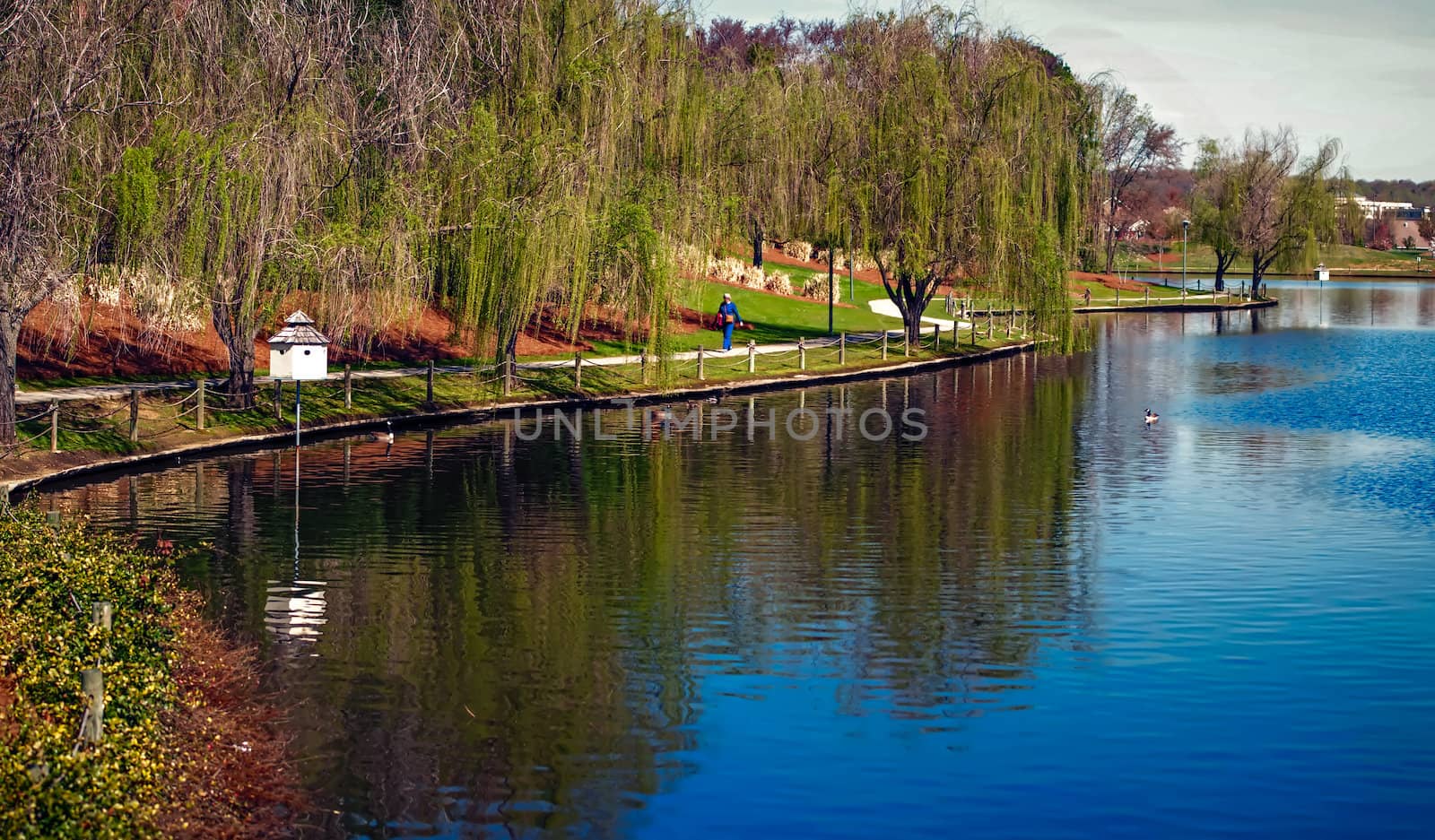 spring walk on the lake by digidreamgrafix