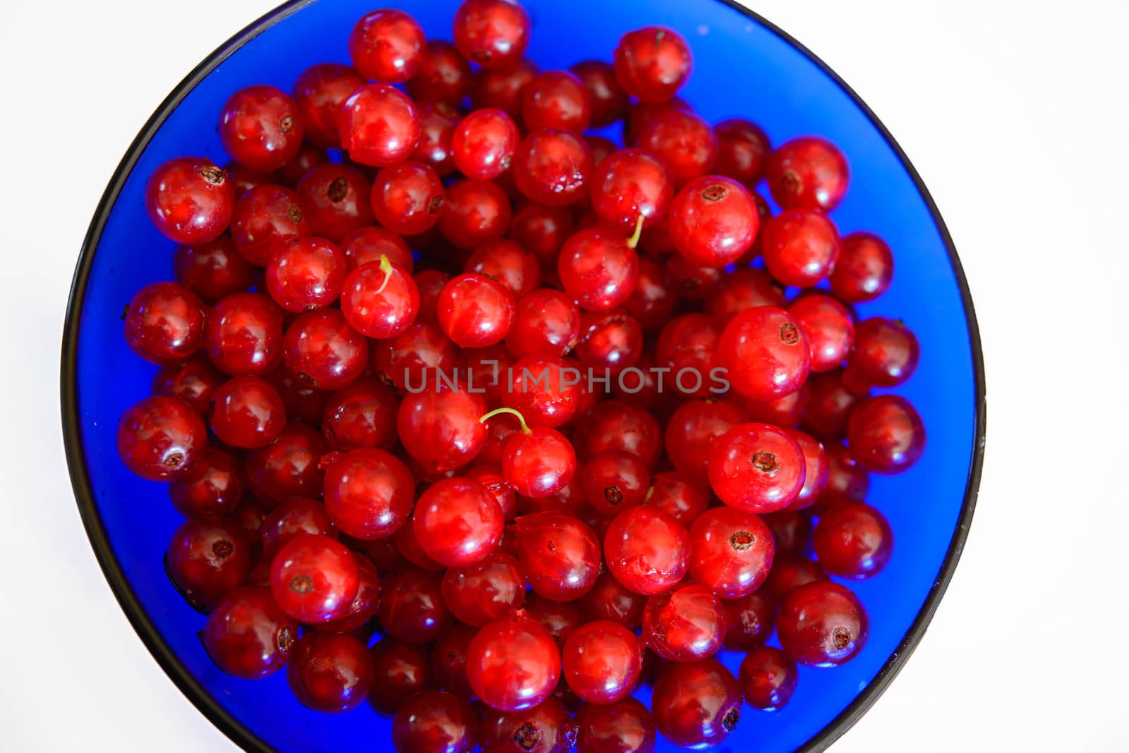 Red currants in a blue bowl witha white background