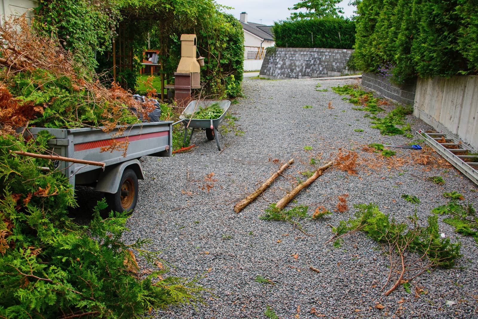 Garden "make-over" and cutting down trees