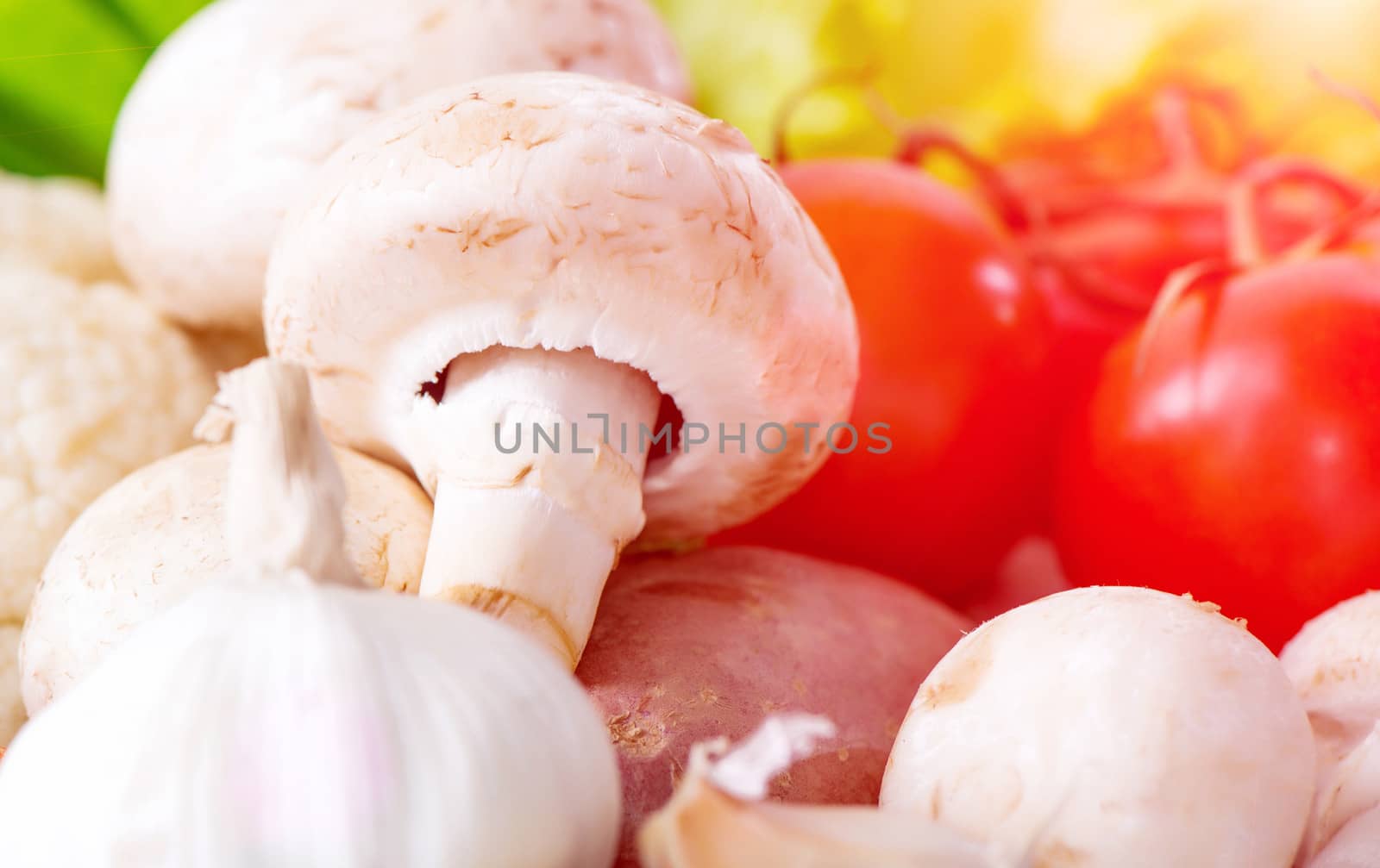 mushroom with fresh colorful vegetables on table closeup