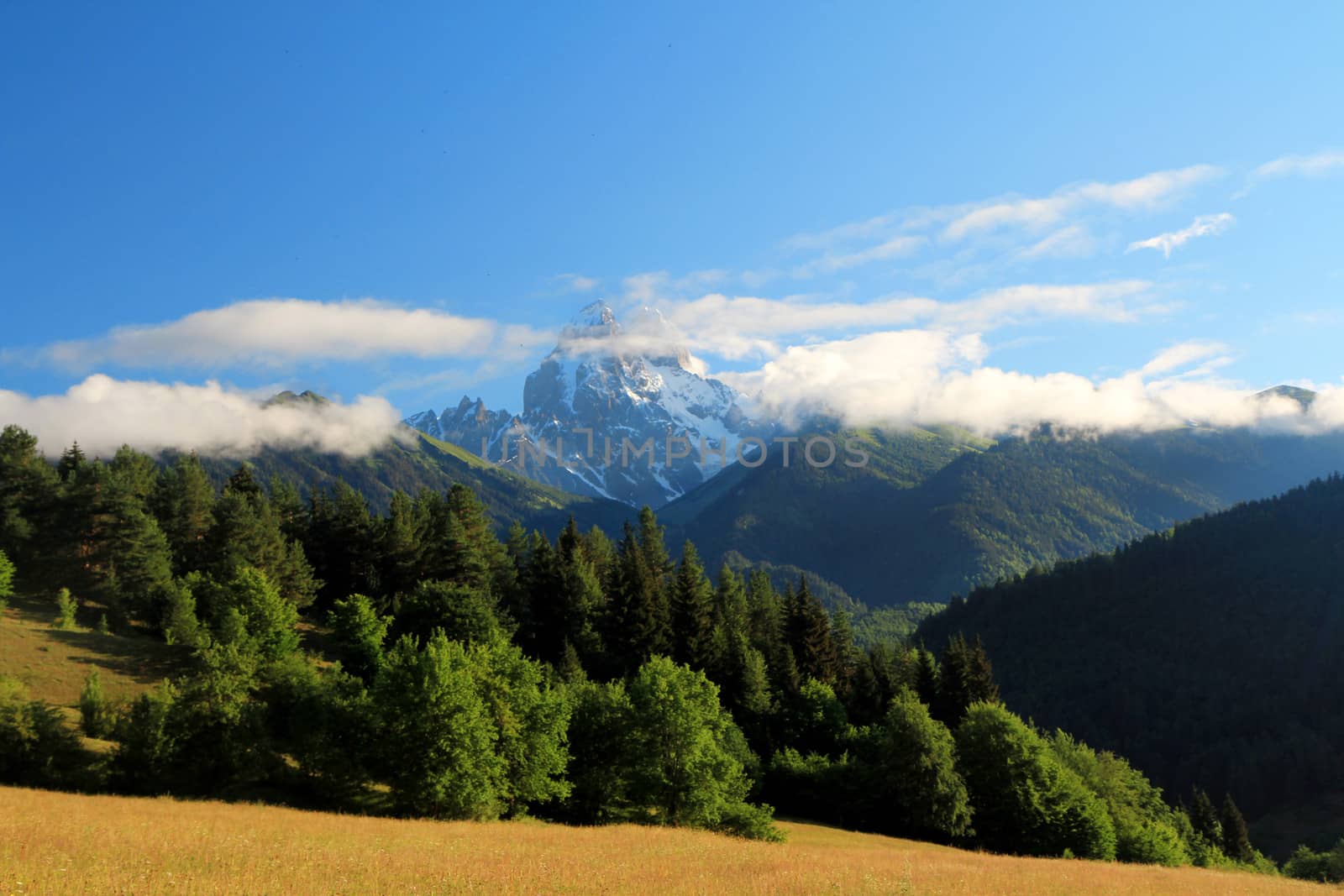 Mountains and forest on blue cloudy sky background. Landscape