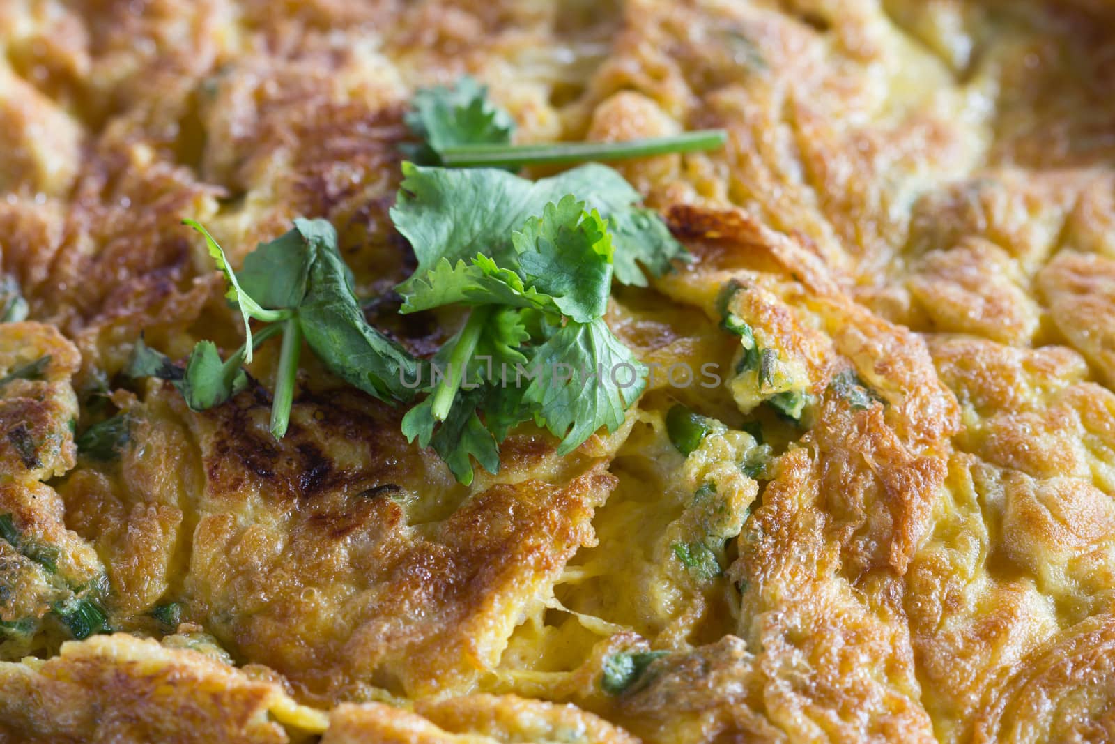 Omelet is a delicious and easy to make