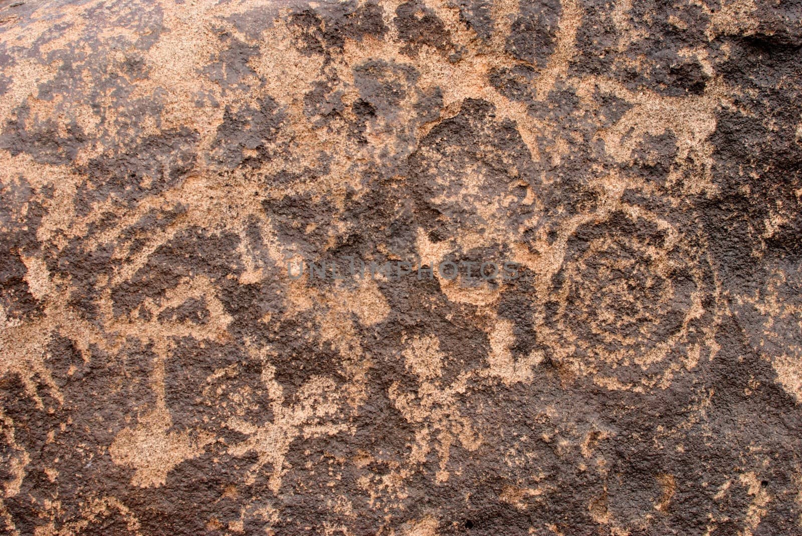 Ancient rock bearing hand carved petraglyphs of animals, spiders and people