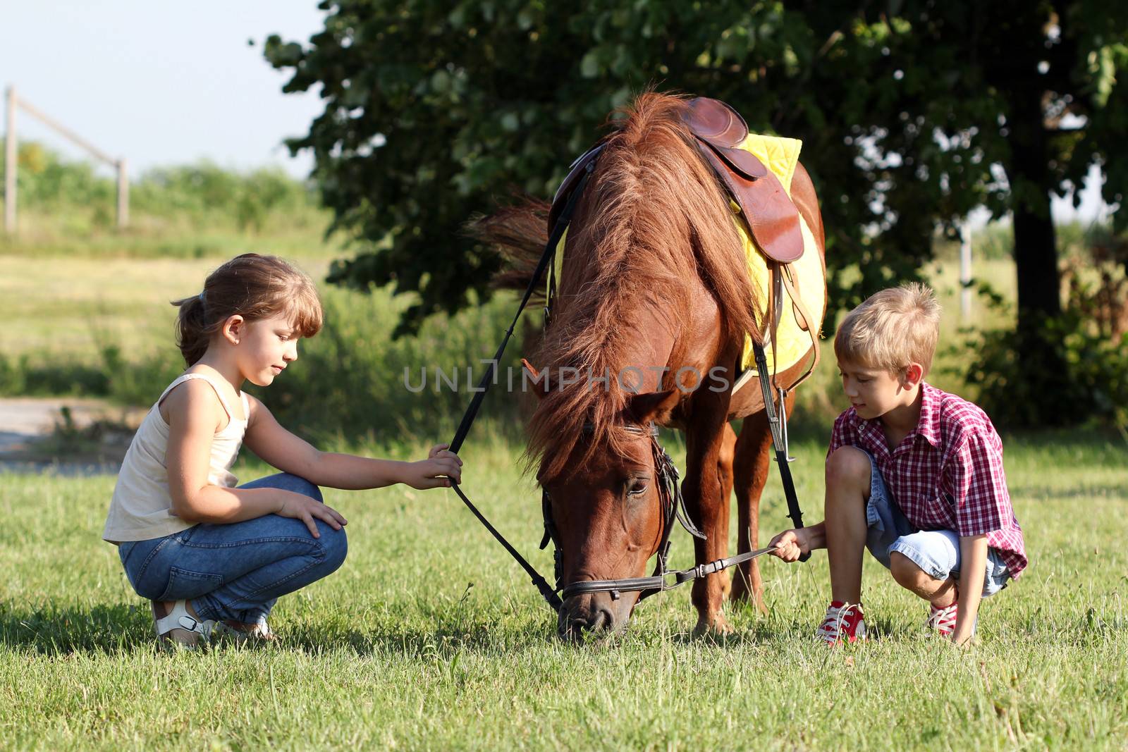 little girl and boy play with pony horse  by goce