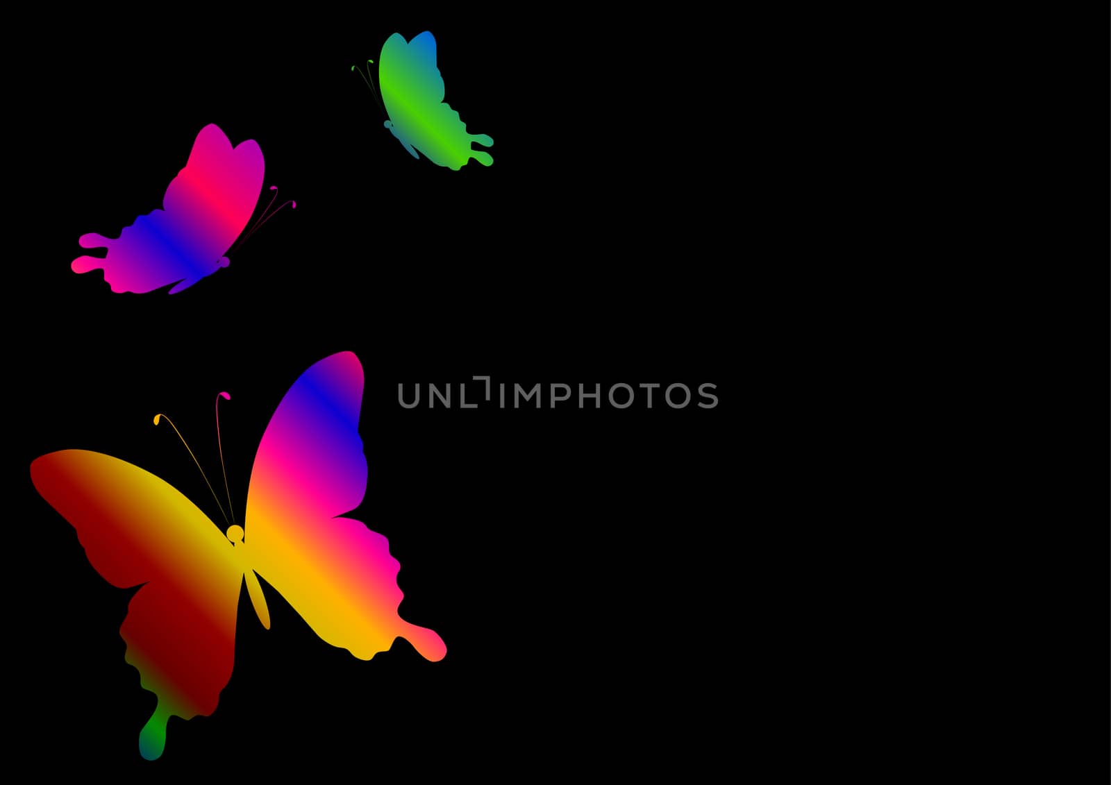 black background with a rainbow colored butterfly