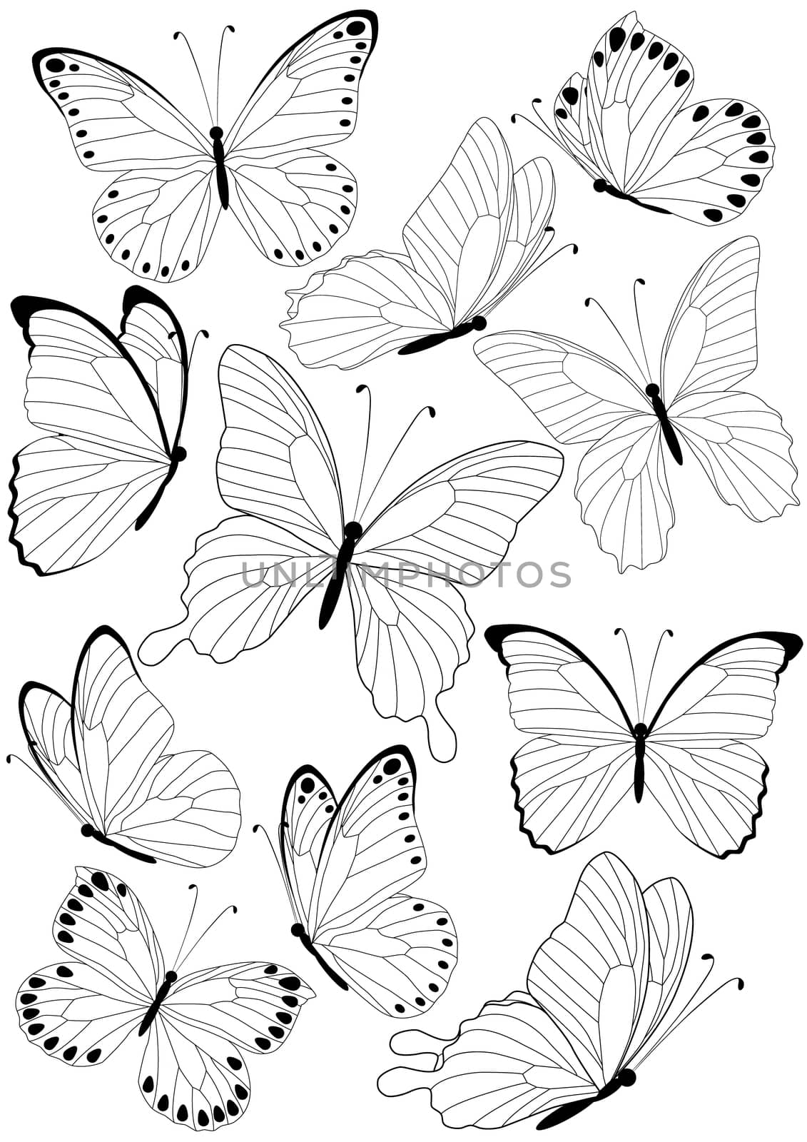 set of silhouette butterflies isolated on white background