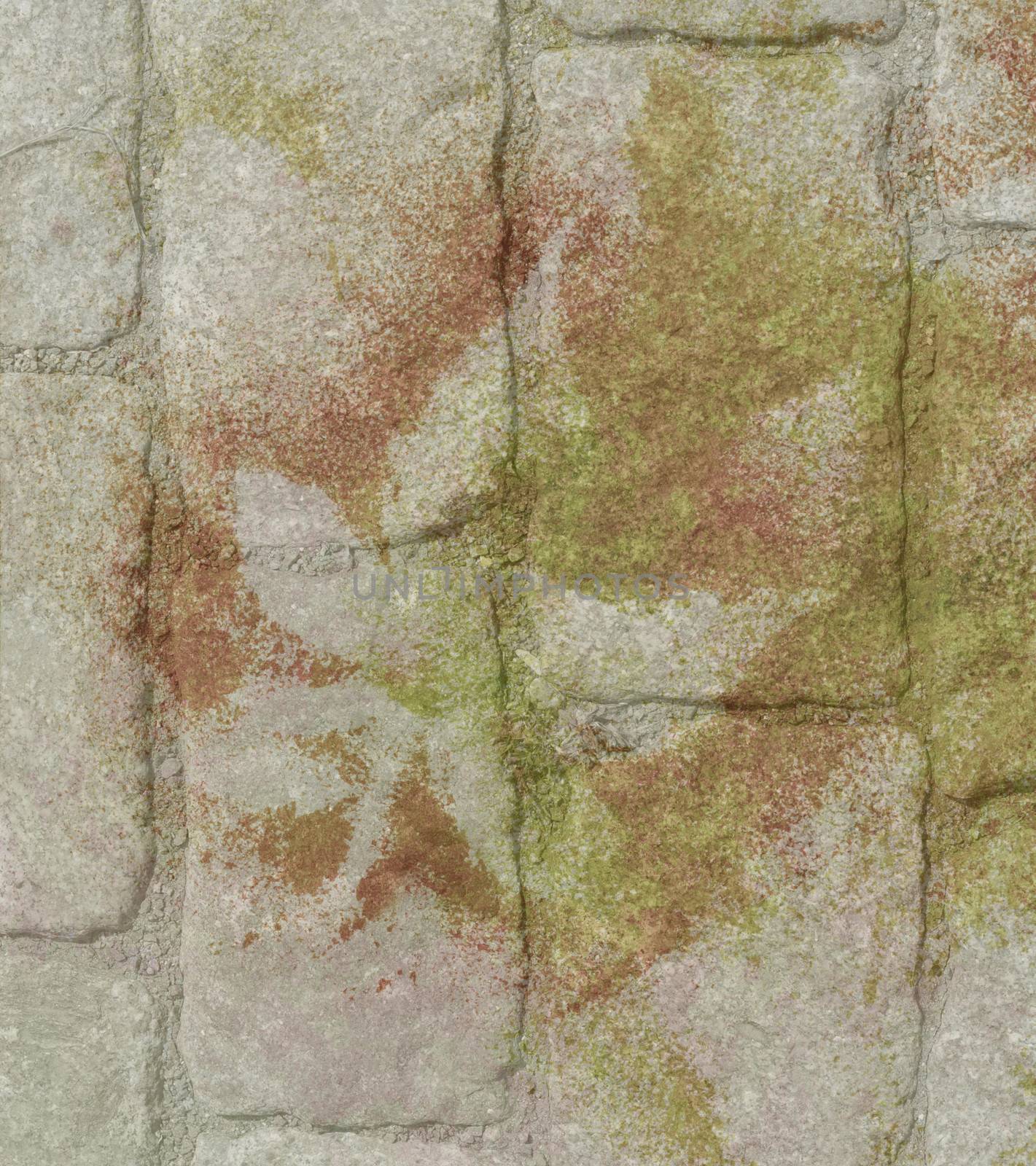 Stone and painted leaves by alexcoolok
