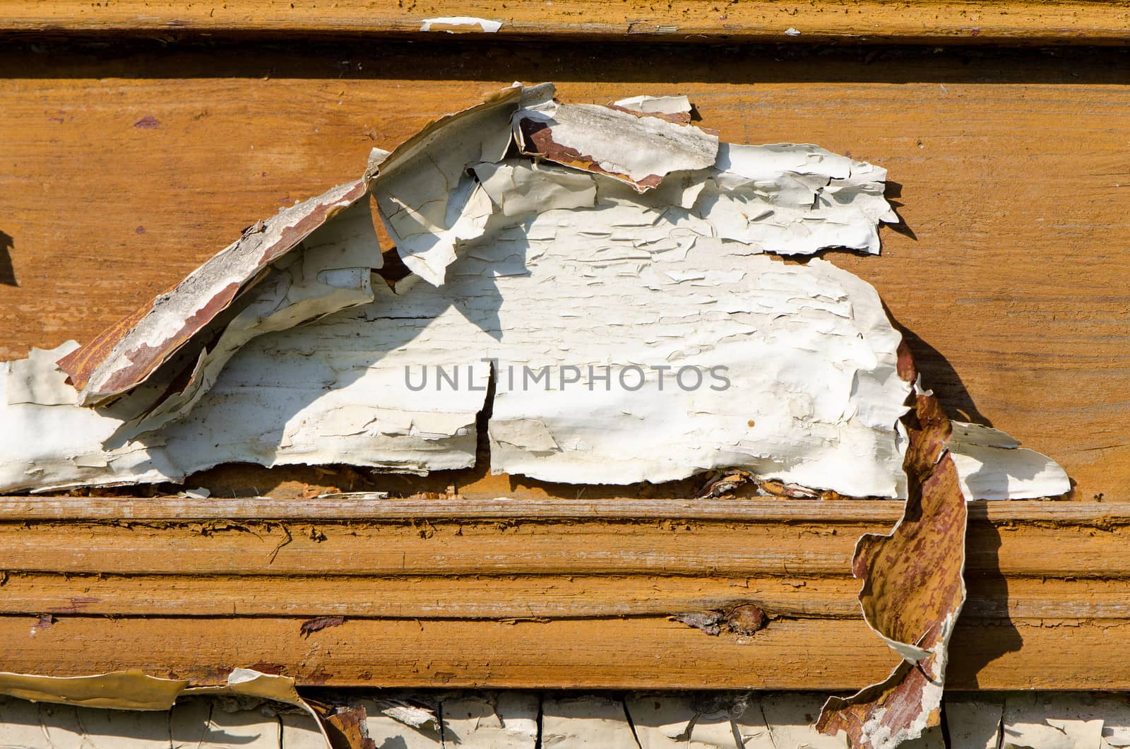 abandoned grunge rural building wooden wall with peeled paint background.