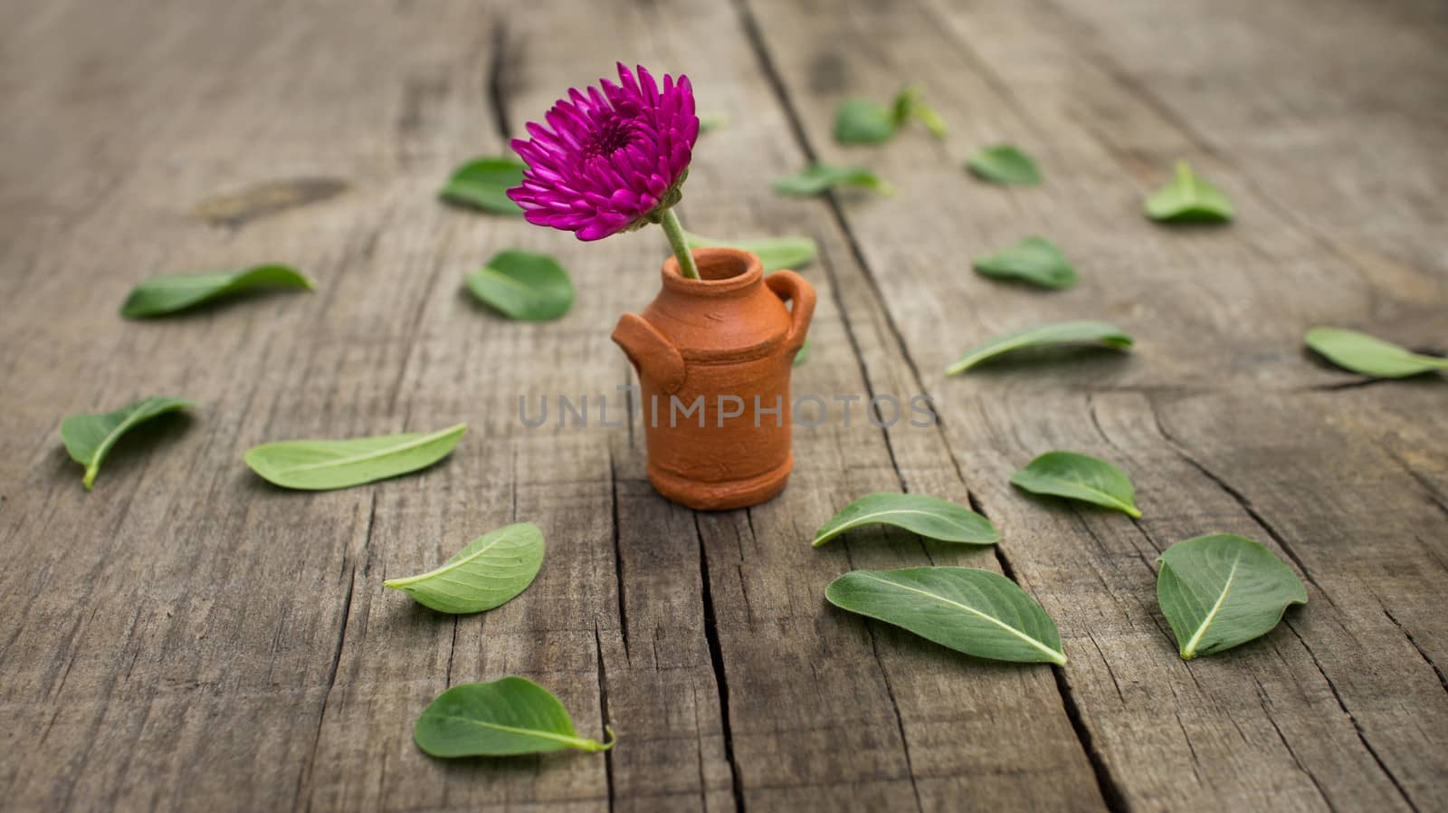 A flower pot with leaves on wooden background.