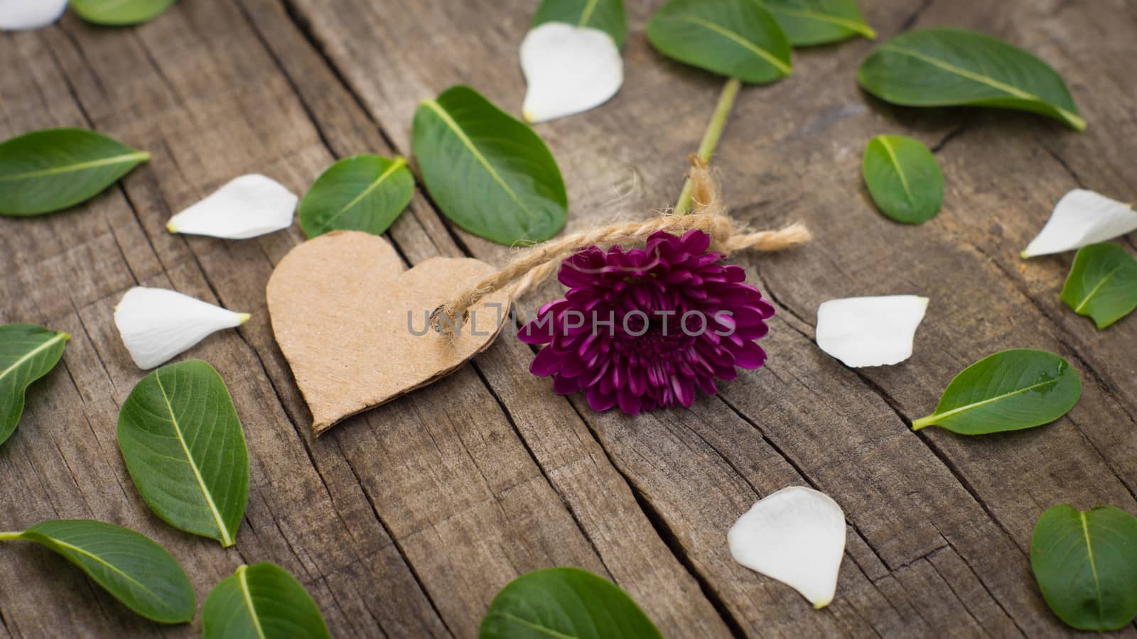 Flower with a Paper Heart on wooden background