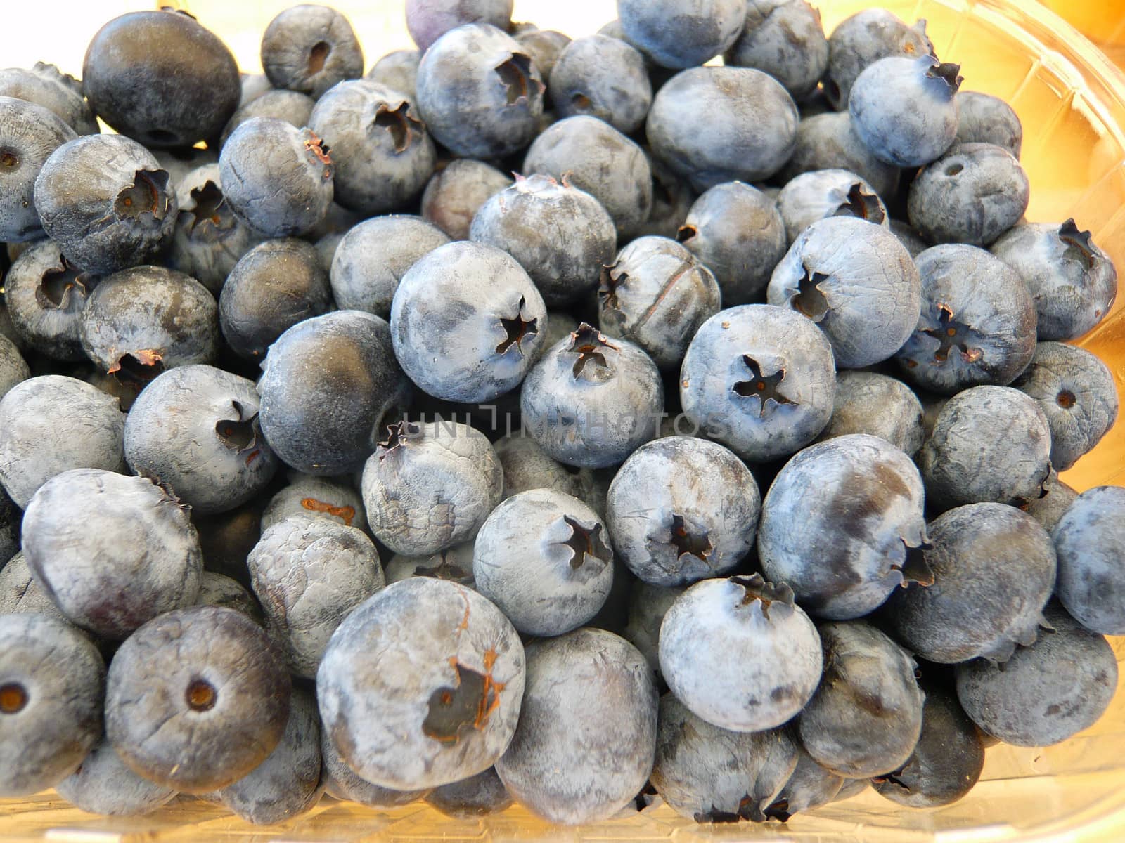 Blueberries on market