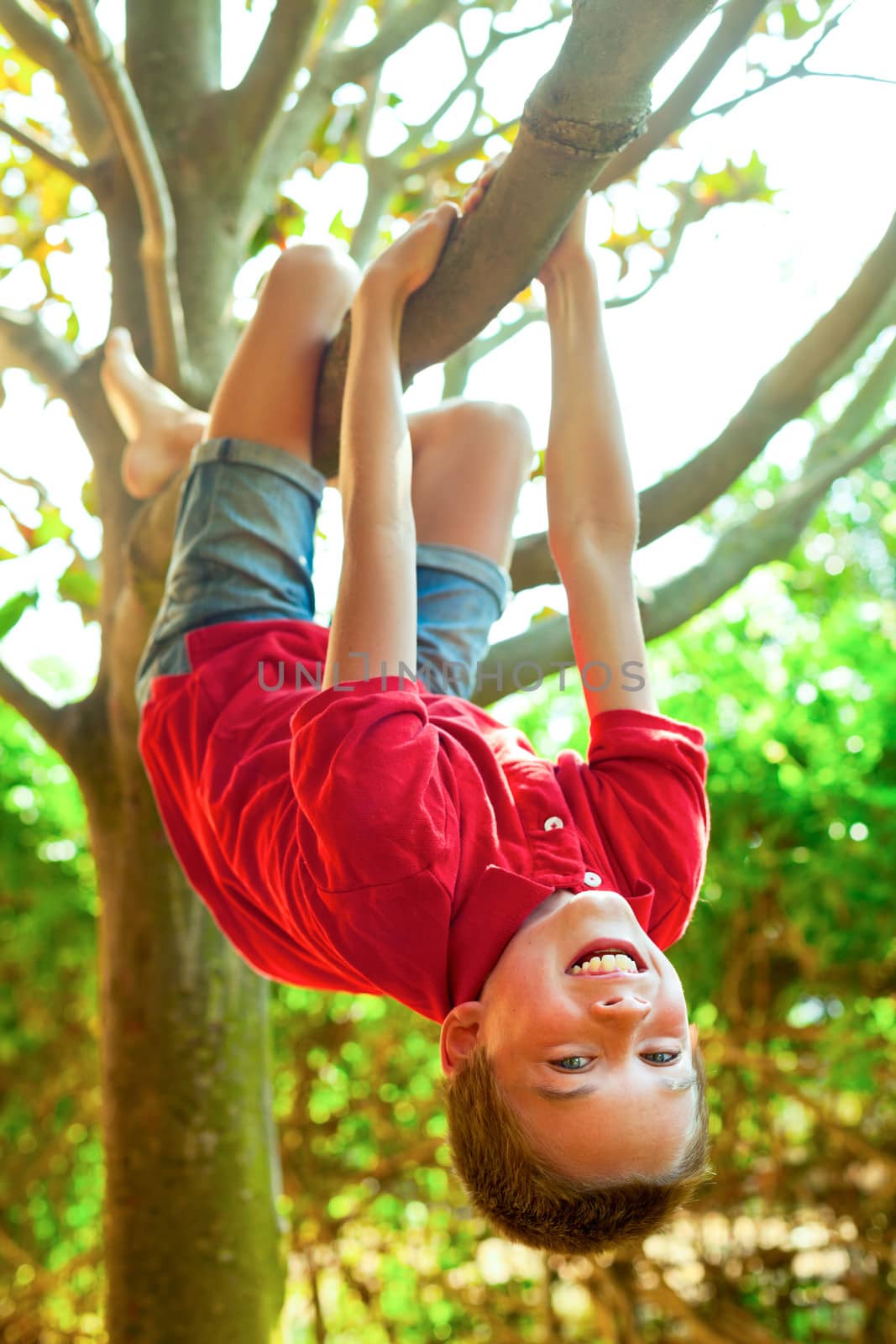 Boy hanging hanging from a tree branch by naumoid