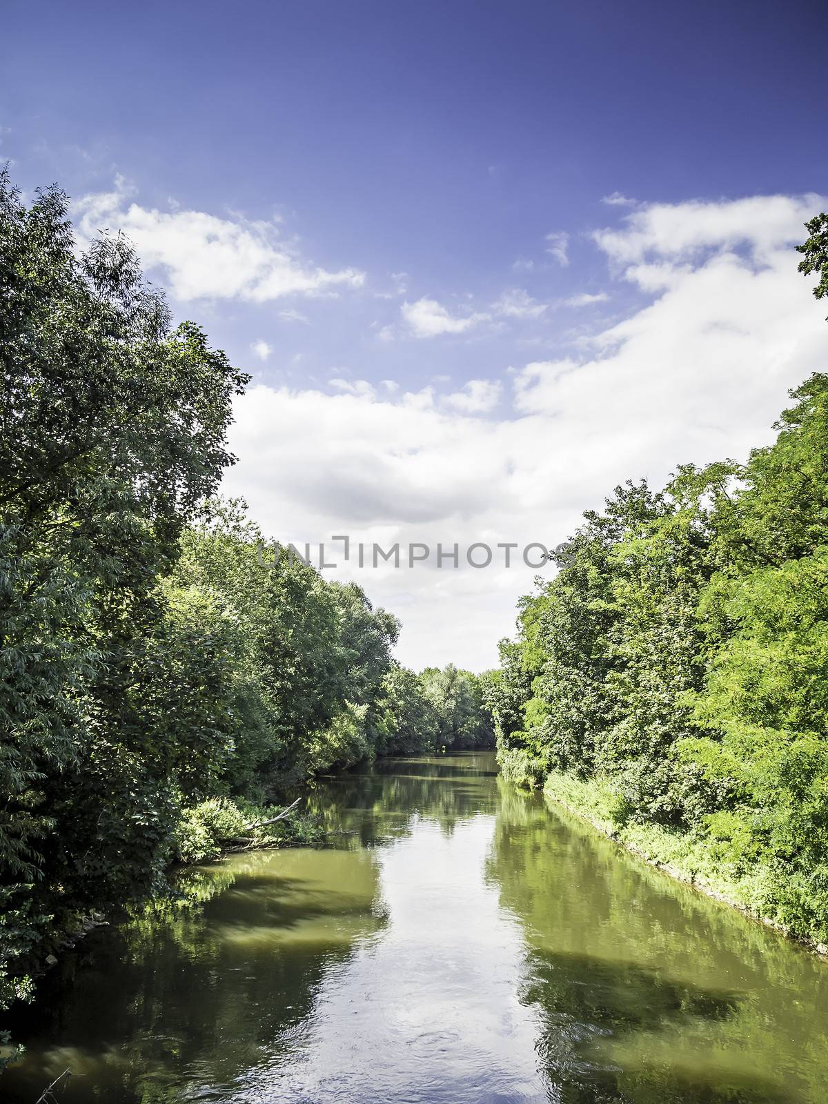 River with bright deciduous trees in summer