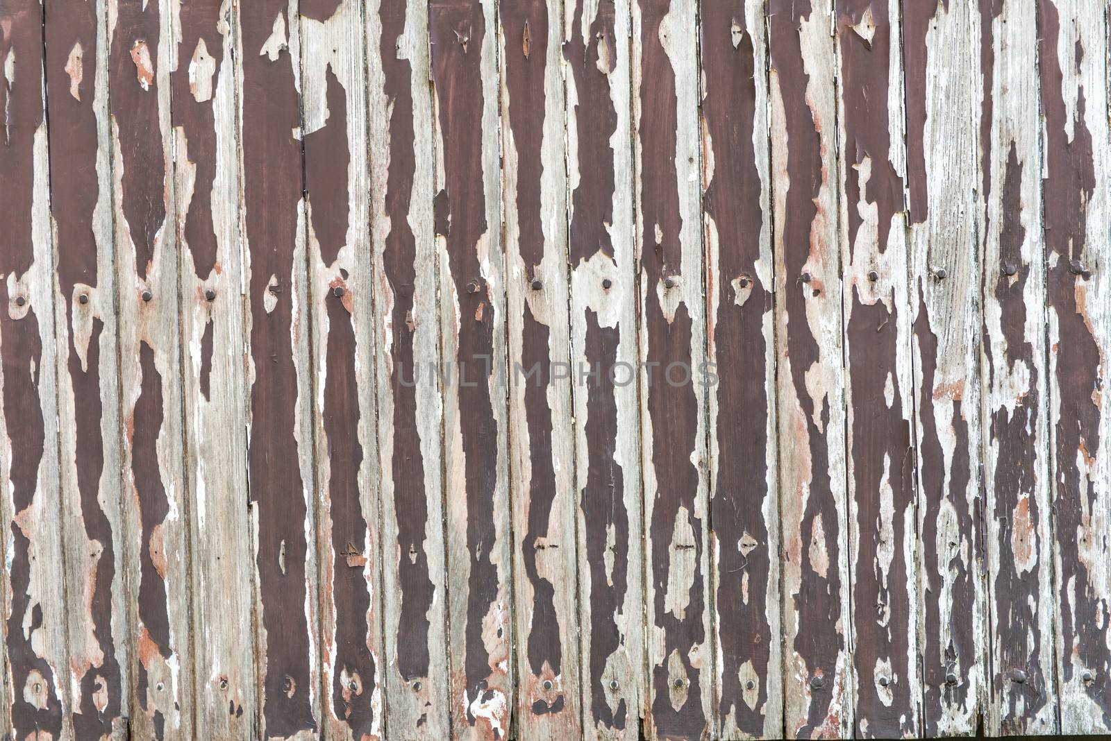 Weathered old vintage wood texture with brown paint by sasilsolutions