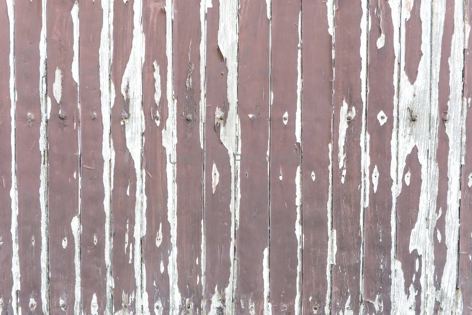 Weathered old vintage wood texture with brown paint by sasilsolutions