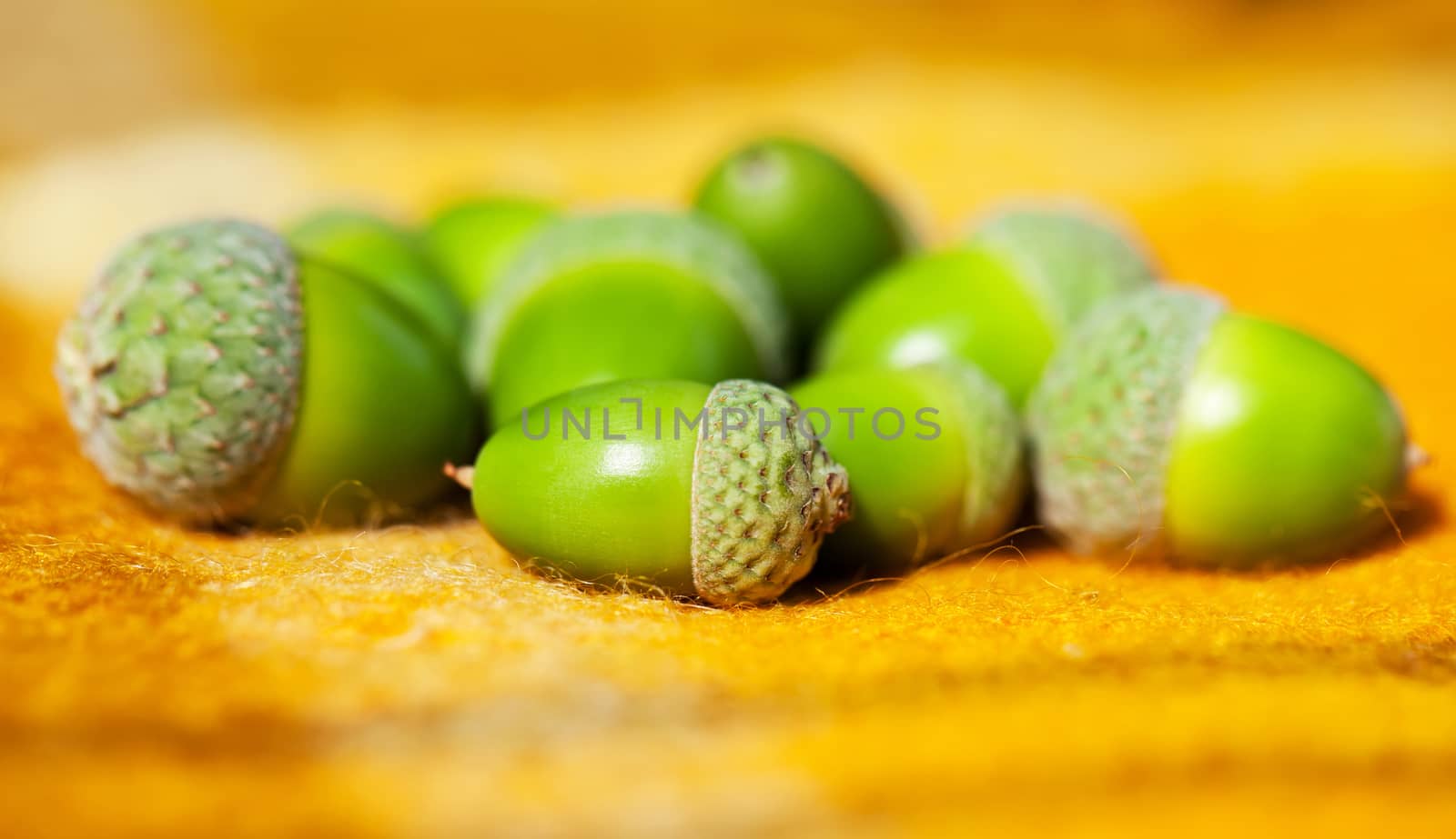 Heap of green acorns on warm yellow woolen rug by RawGroup