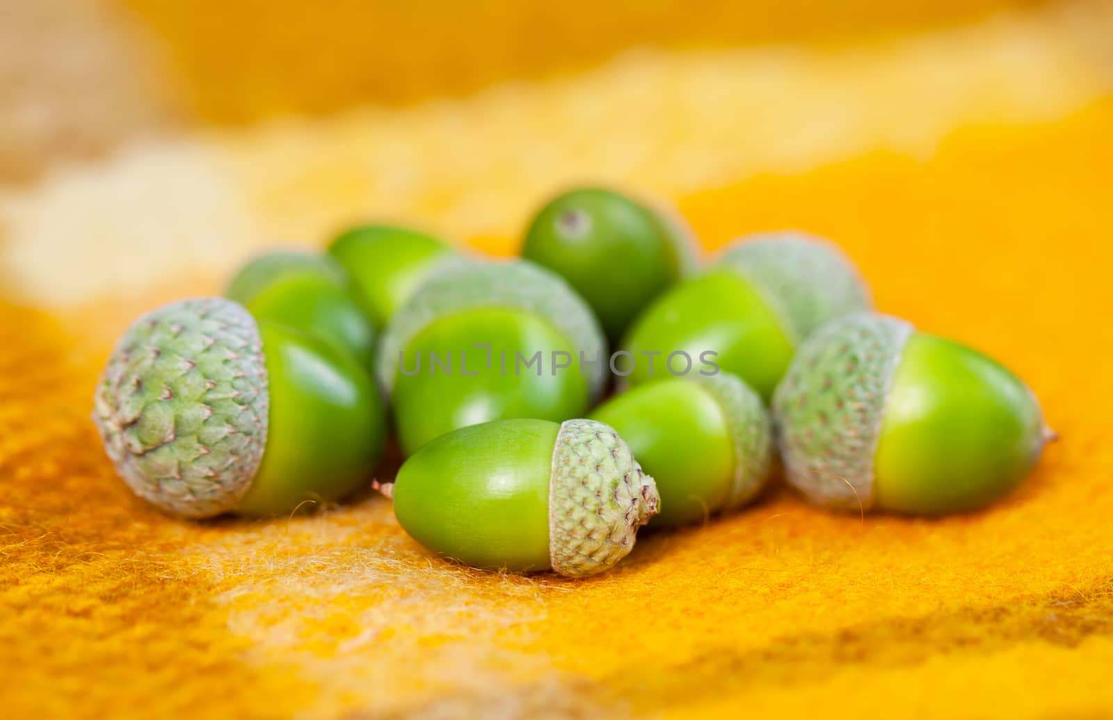 Heap of green acorns on yellow woolen rug by RawGroup