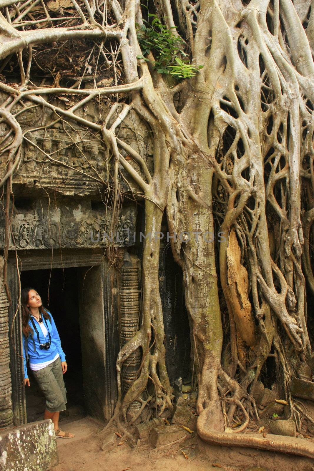 Ta Promh temple, Angkor area, Siem Reap, Cambodia