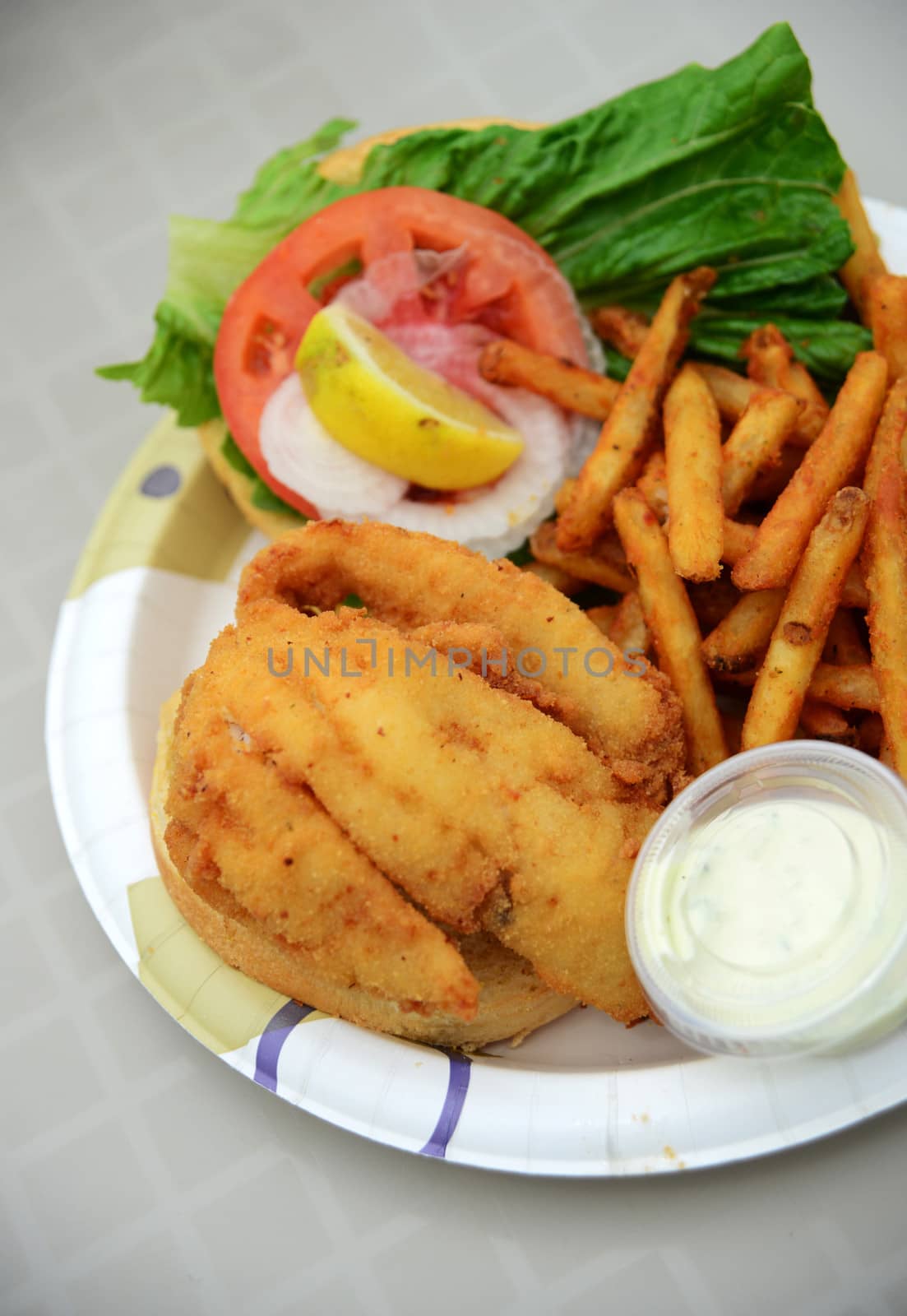 fried fish lunch with fries by ftlaudgirl