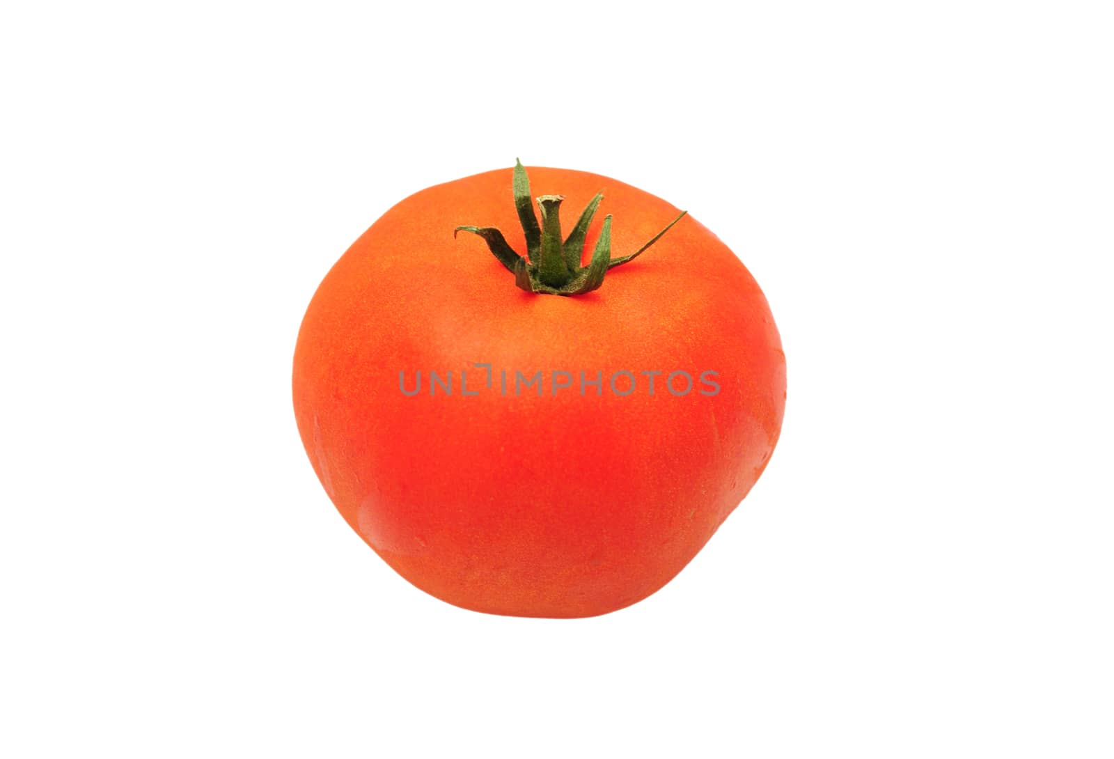 isolated tomato on white by ftlaudgirl