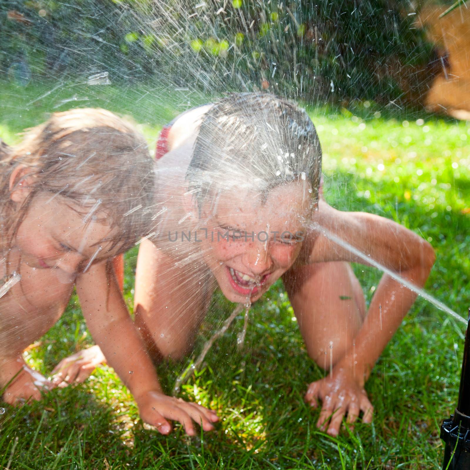 Children playing in a summer garden by naumoid