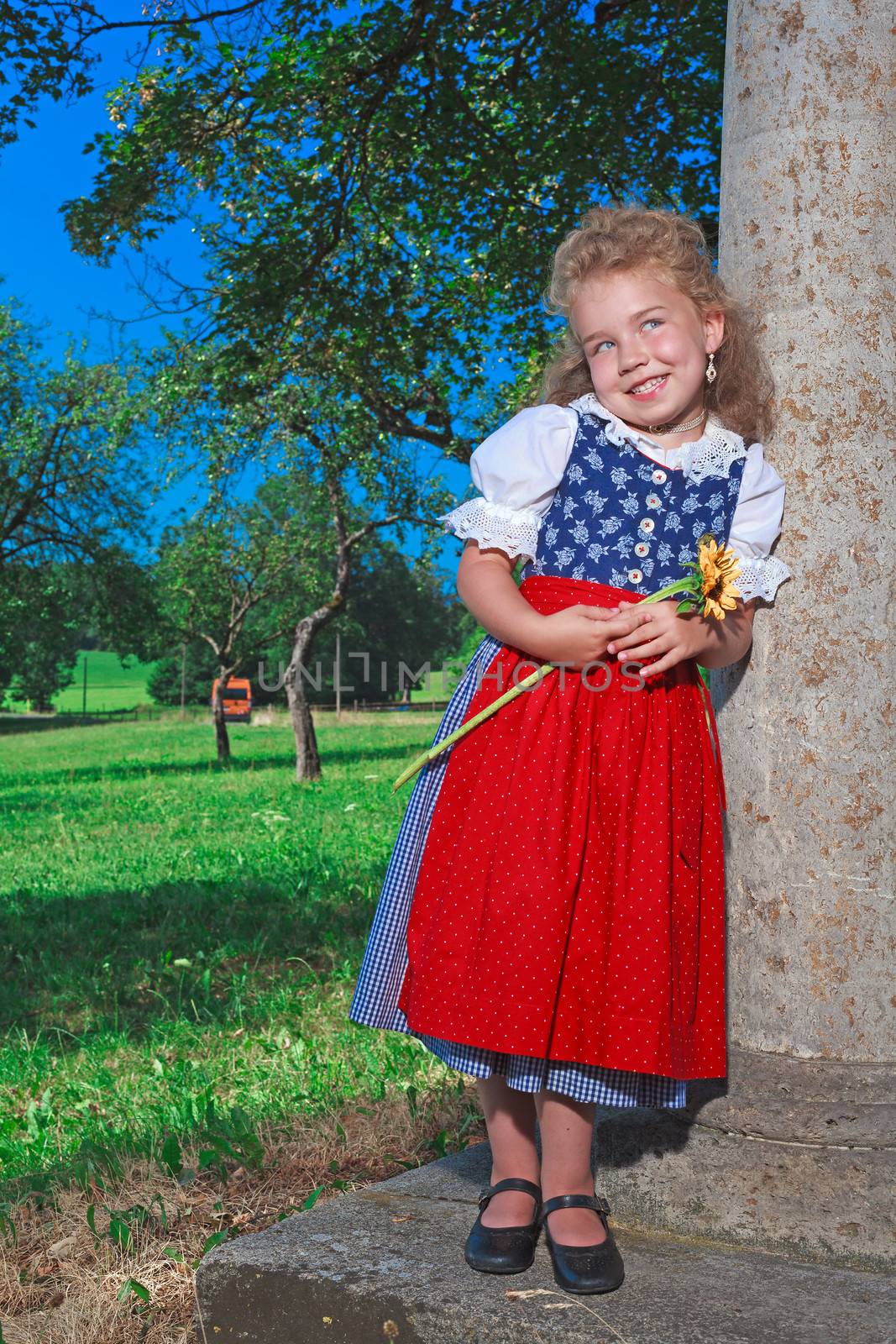 Small Bavarian girl in a dirndl with sunflower in her hand