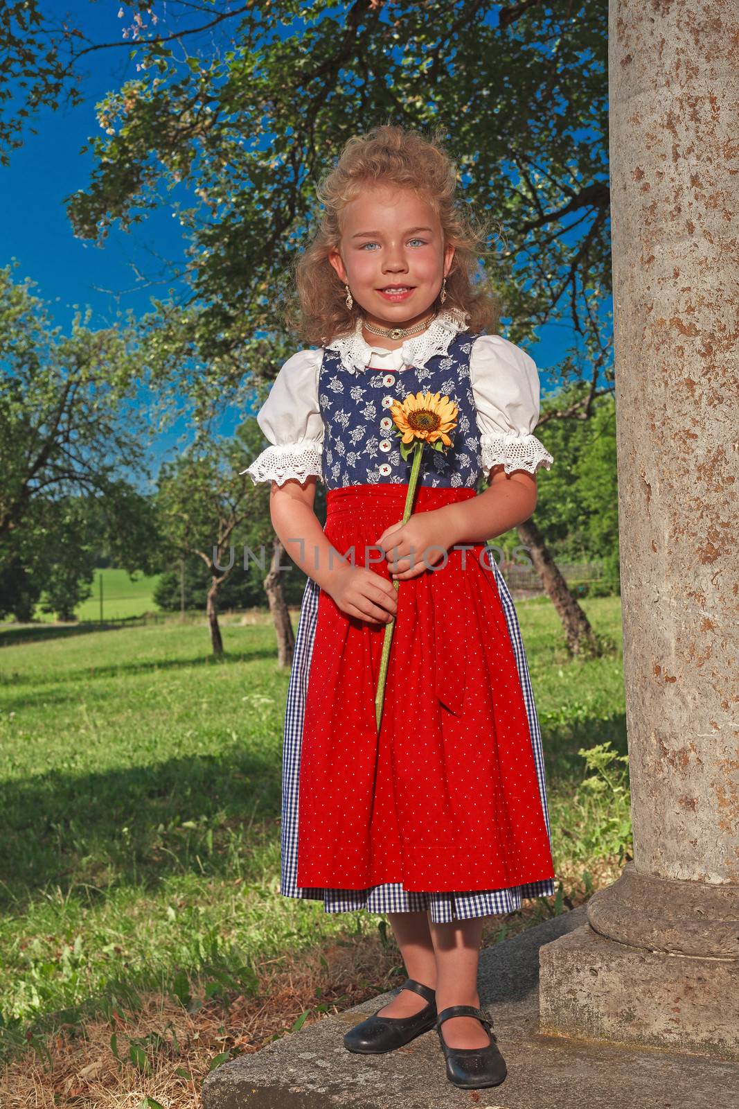 Blond girl in dirndl with blond hair posing with a sunflower in the hands