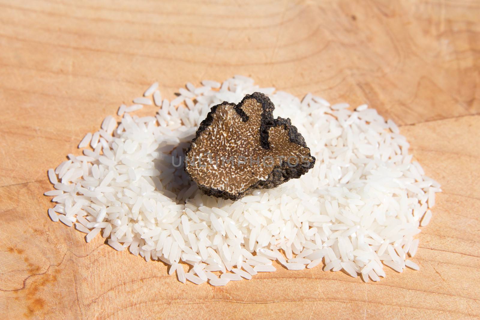 Black truffle, tuber melanosporum, sliced on cereal grain