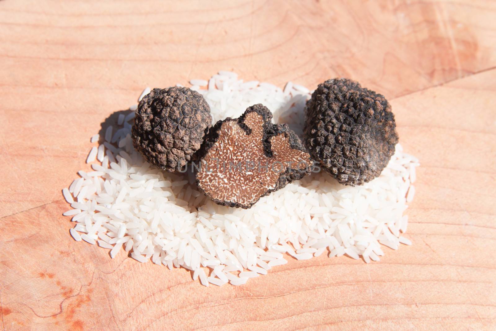 Black truffle, tuber melanosporum, sliced on cereal grain