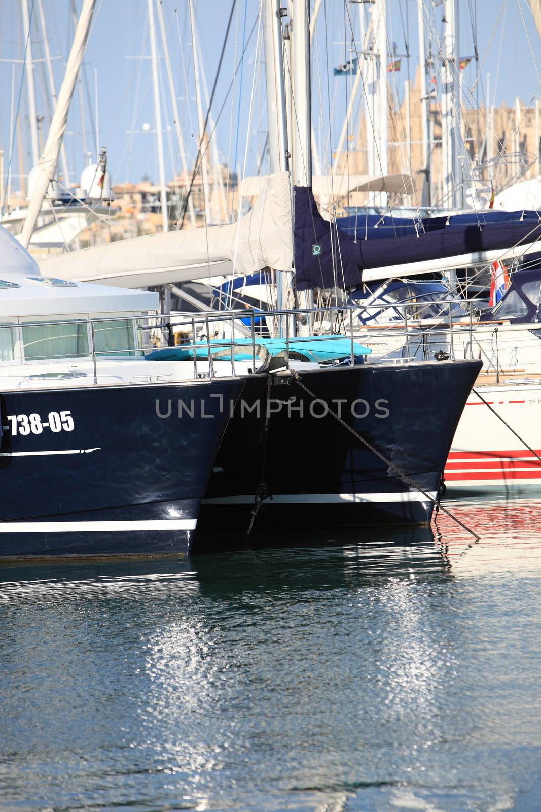Luxury catamaran with a black hull moored in a marine harbour amongst luxury pleasure boats