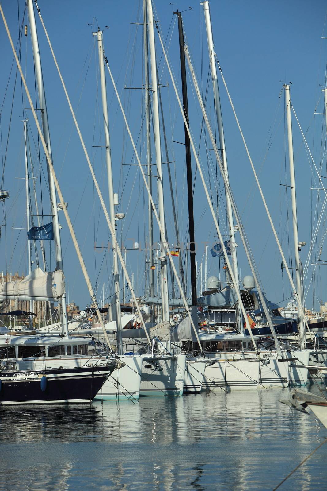 Tall metal masts and rigging of yachts moored in sheltered harbour catching the summer sun