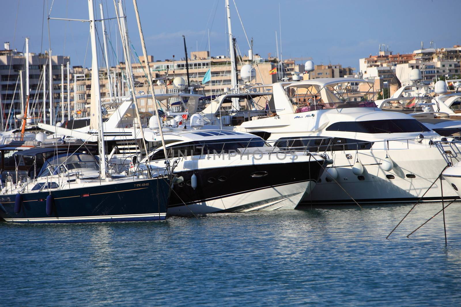 Luxury yachts in harbour by Farina6000