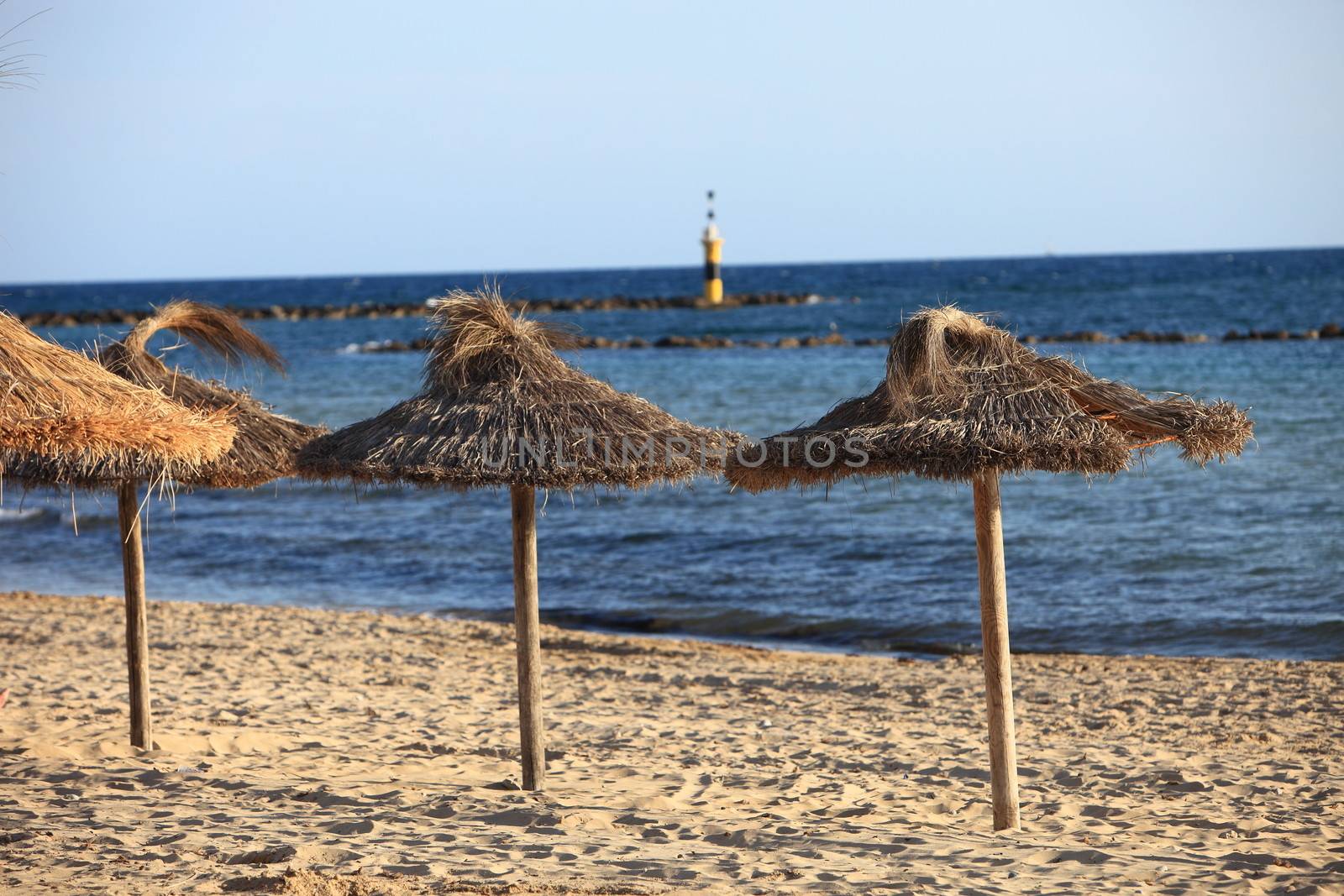 Thatched umbrellas on a tropical beach by Farina6000
