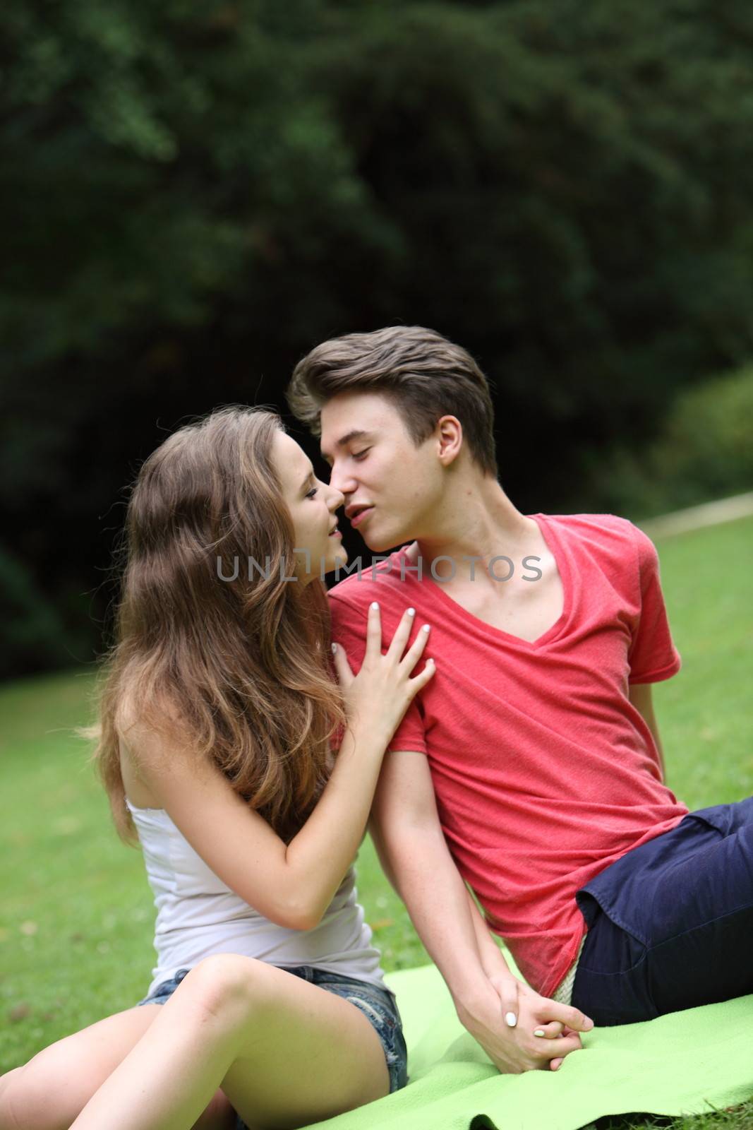 Romantic attractive young teenage couple sitting on a rug on the grass in a park kissing