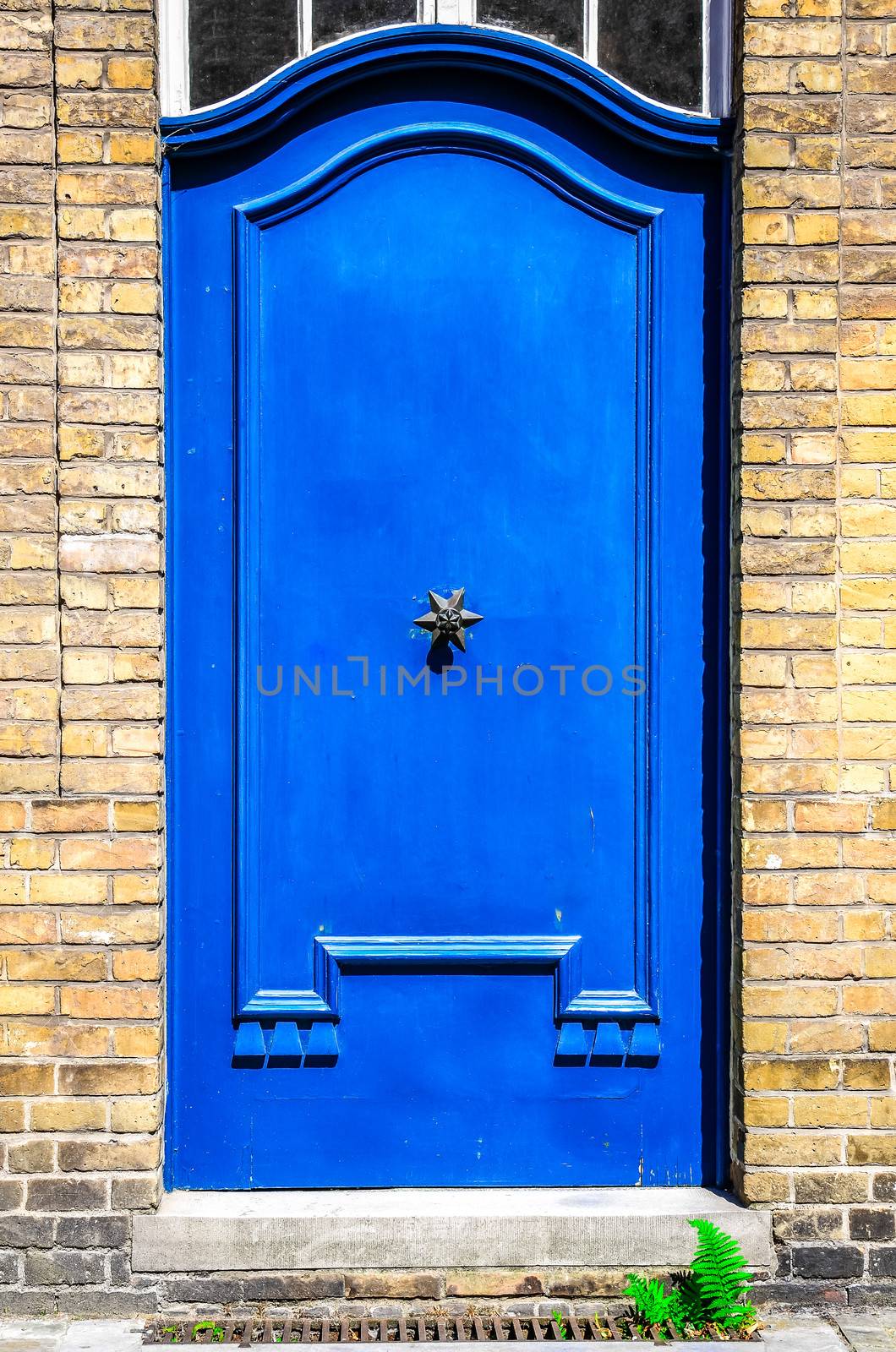 Closed blue entrance door in brick wall
