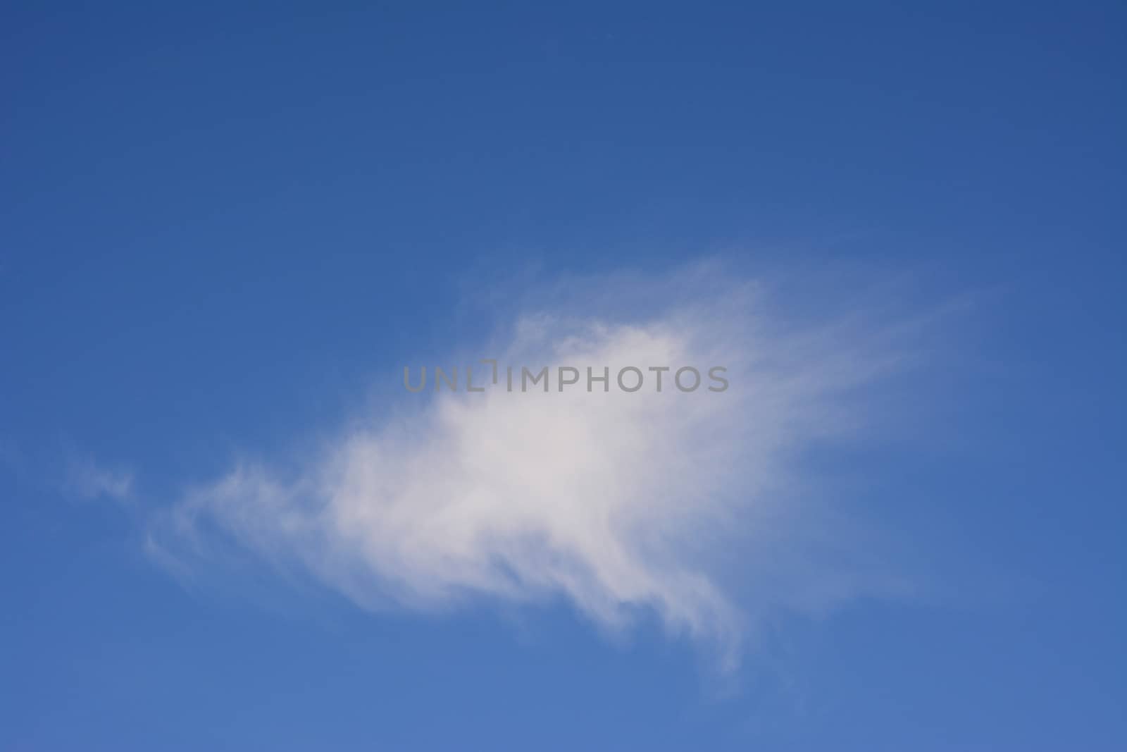 single fluffy cloud on blue sky by Leont